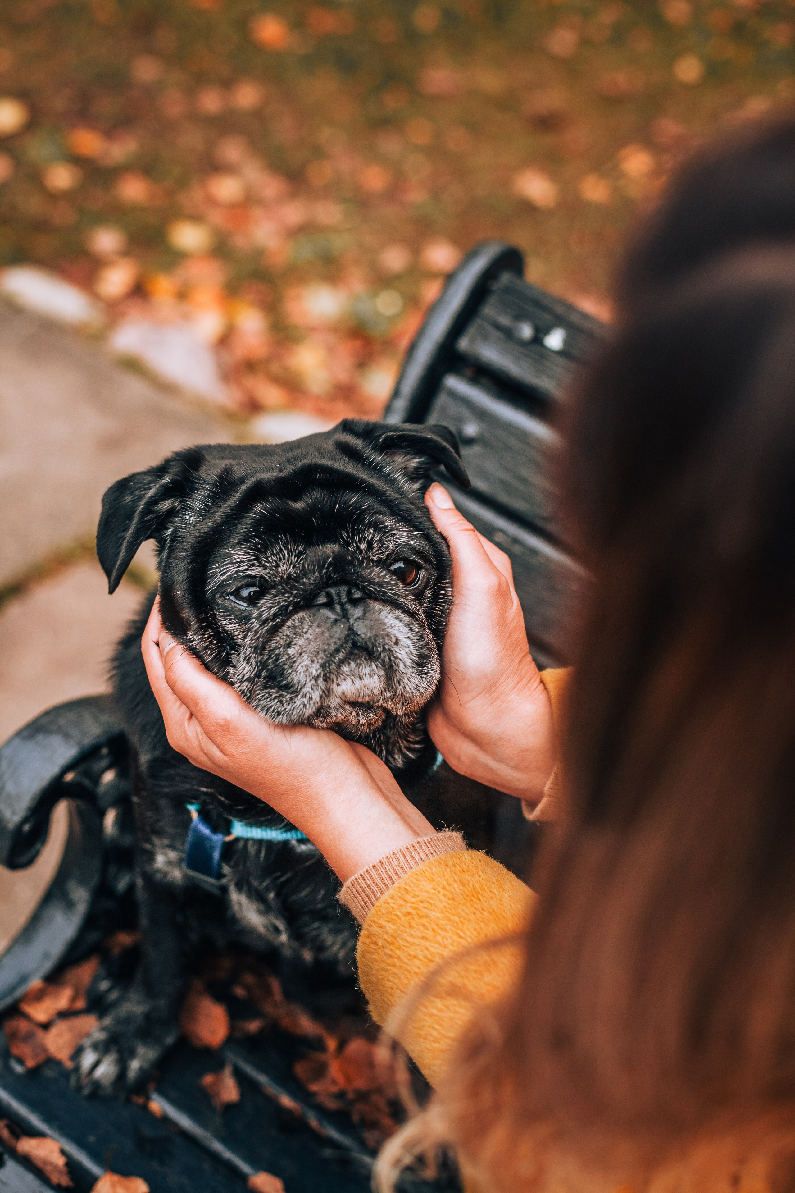 Оля, Харви, Луис. Фотограф-анималист Татьяна Степанова