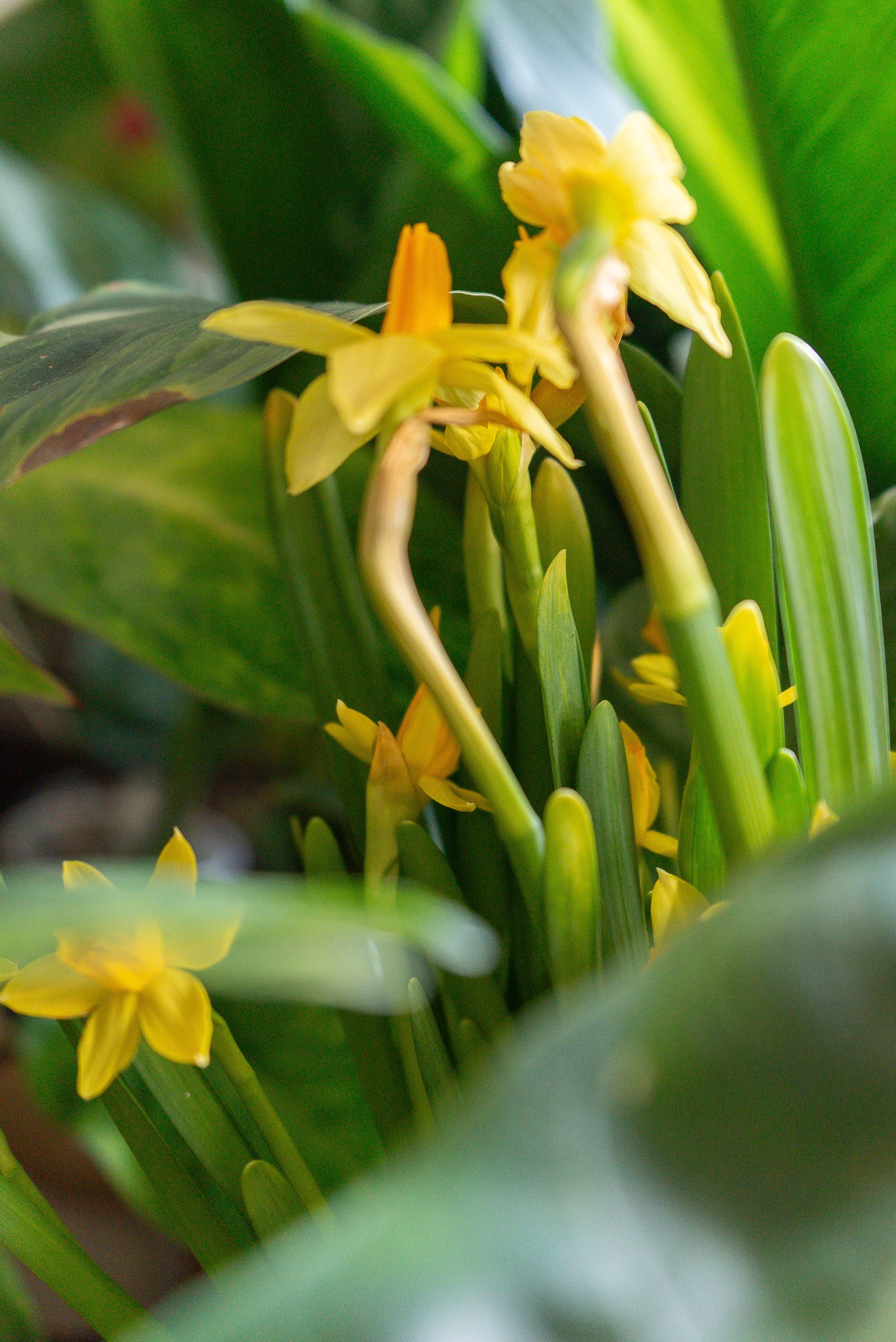 Усадьба. Александра Куликова фотограф, Москва