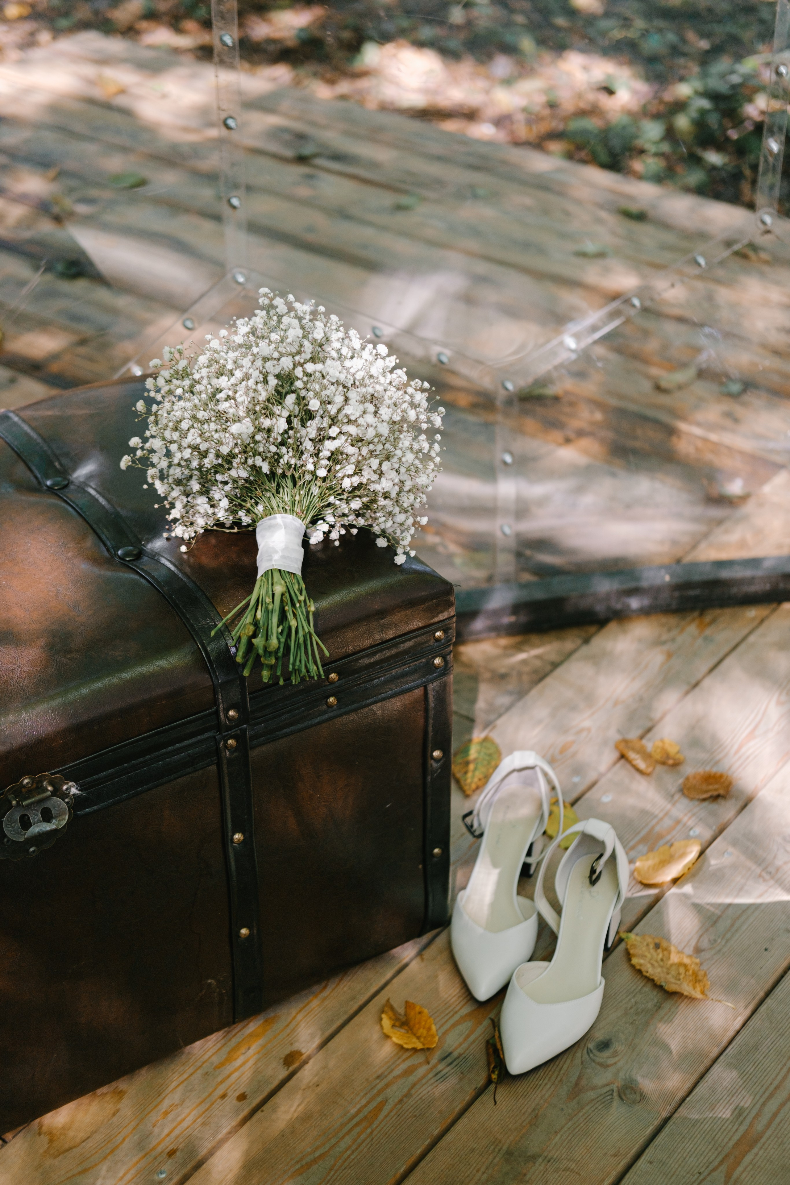 Кот и Дракон. Свадебный Видеограф Фотограф в Сочи