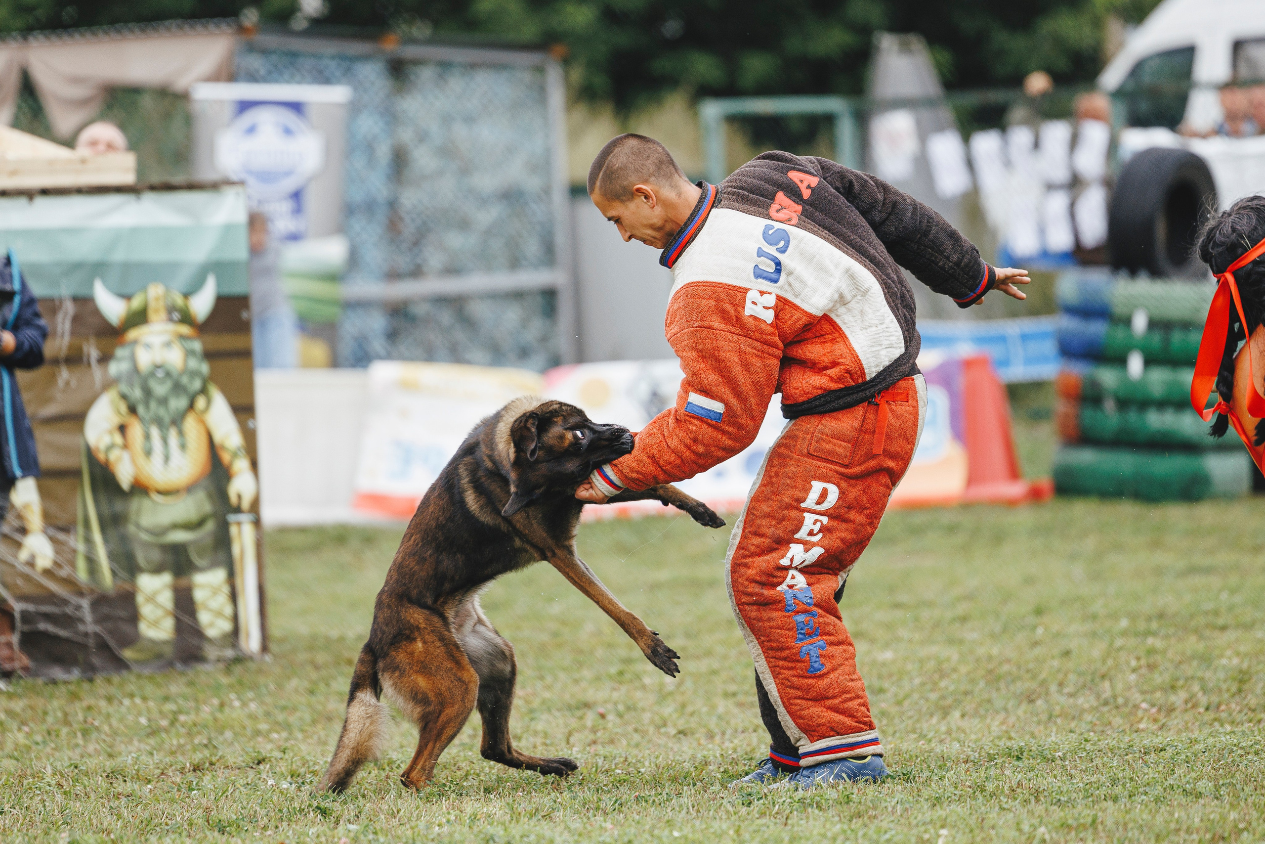 08.08.25-10.08.25 ЧР по мондьорингу г. Вологда. Фотограф-анималист Анна Маринич