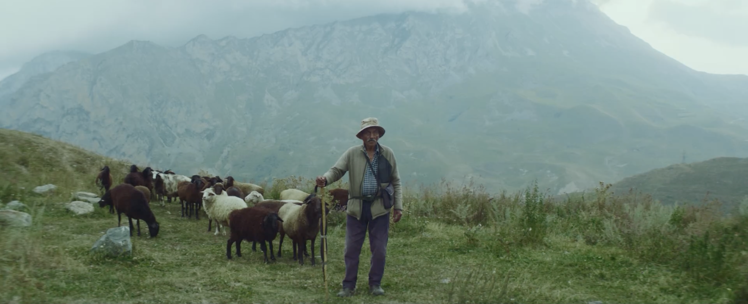 2022-2024 ЗЕМЛЯ ВИНОДЕЛОВ. Дарья Каширина