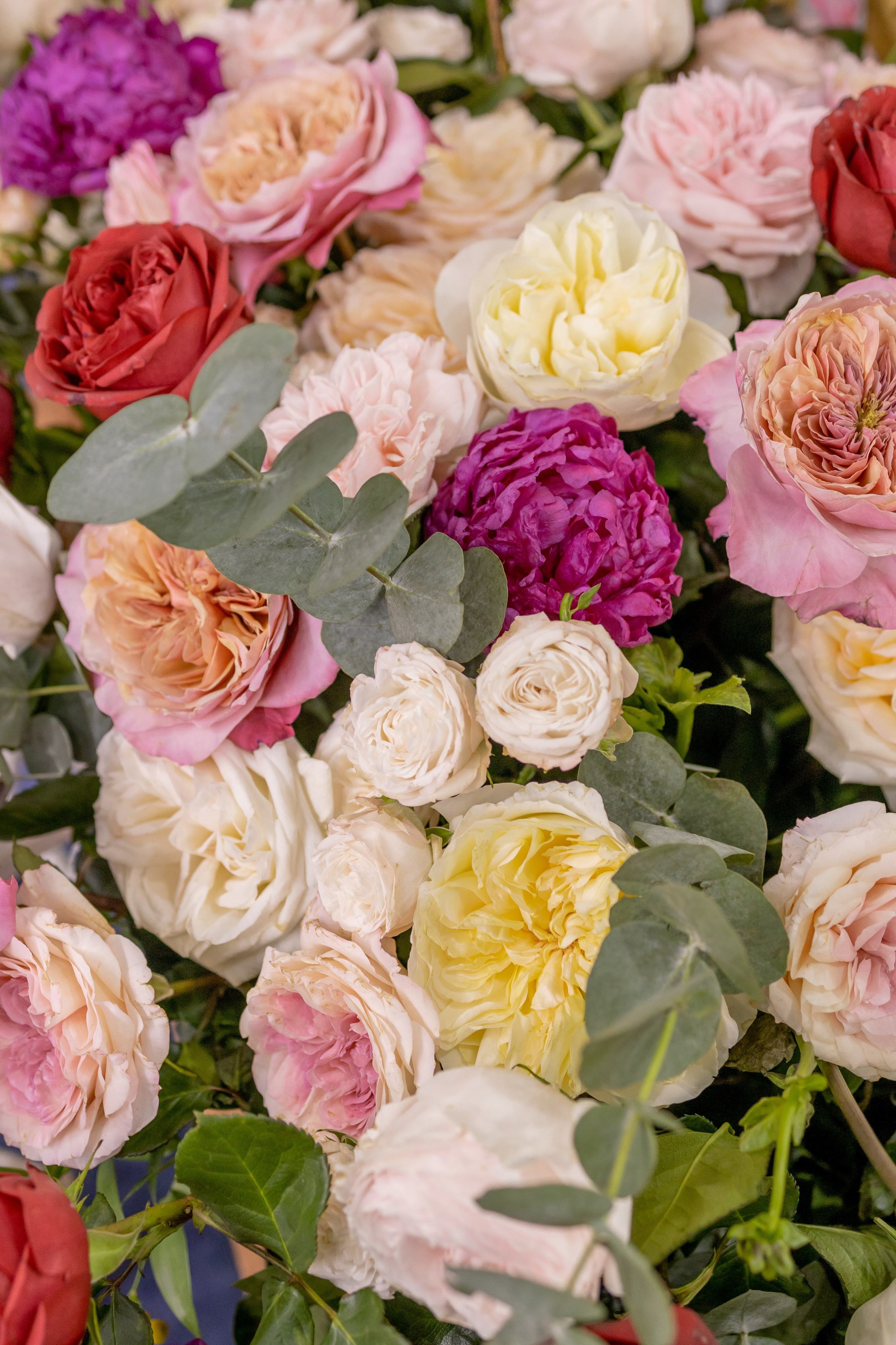 Цветы-Экспо 2025. Фотосессии и репортаж — Фотограф в Москве — Рина Серёгина