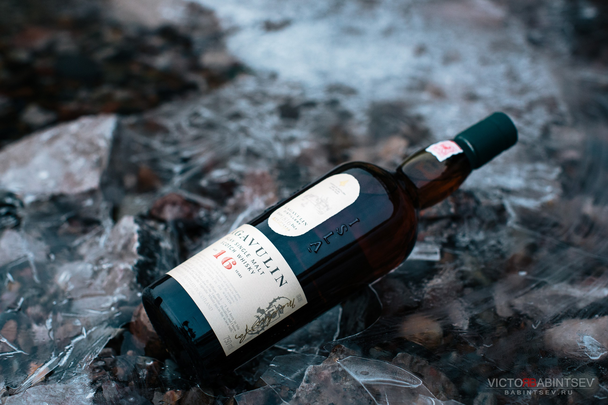 Whisky. Семейный и репортажной фотограф в Красноярске и Москве Виктор Бабинцев