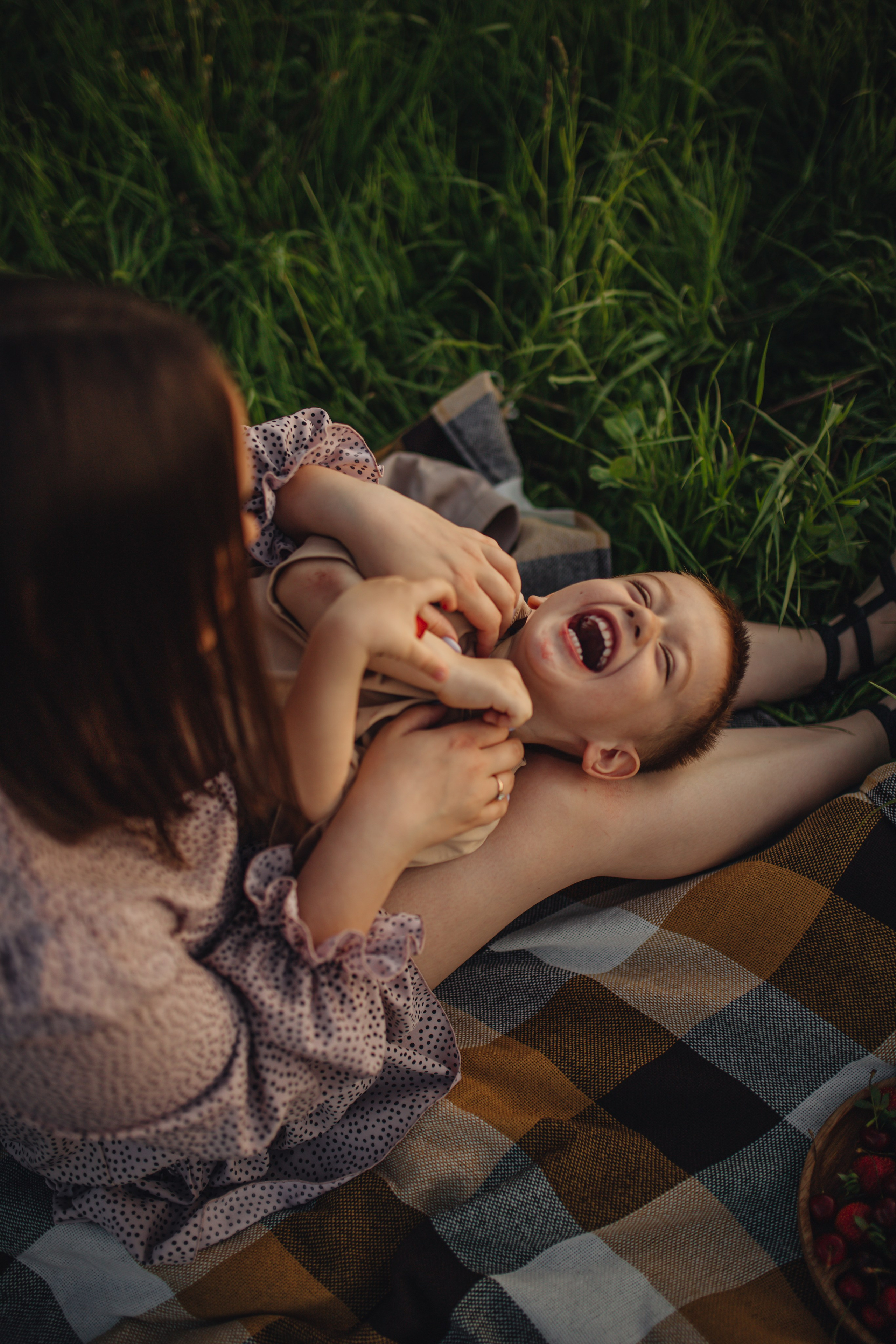В поле на закате. Фотограф Винокурова Кристина в Санкт-Петербурге