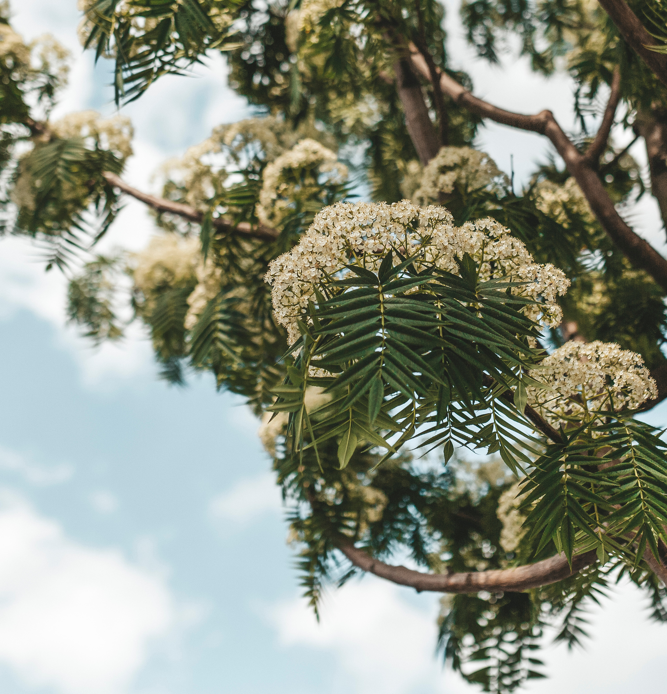 Инна street Nikolskaya. Семейный фотограф в Москве и Московской области Донкова Екатерина