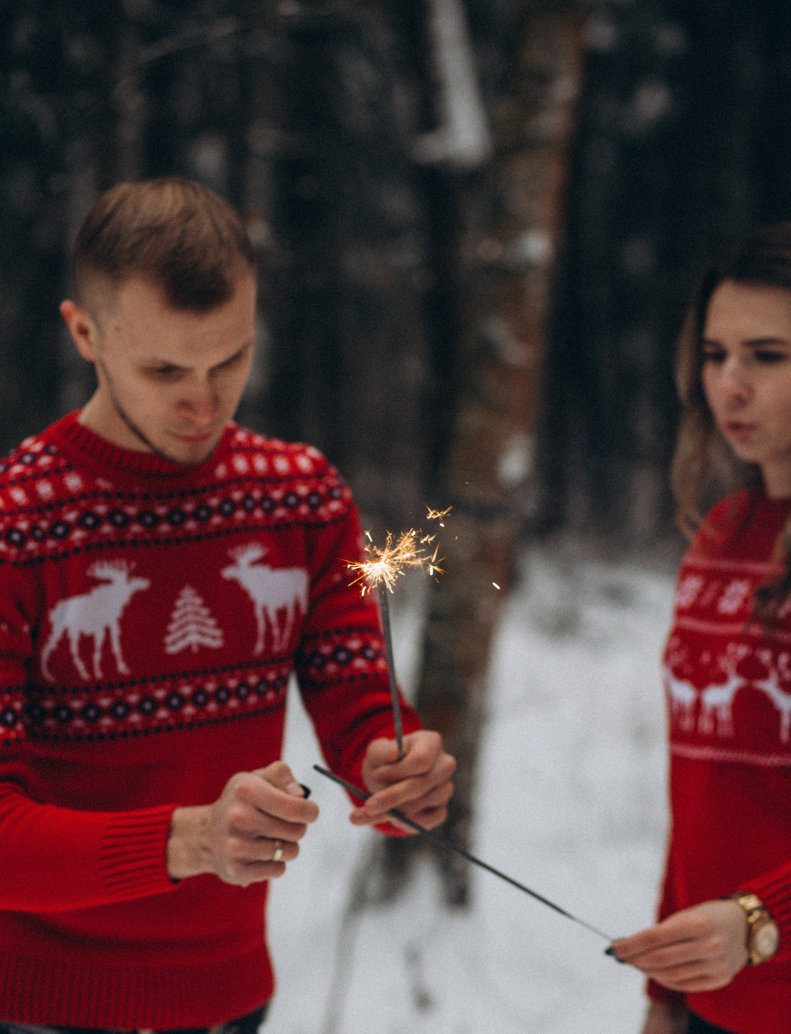 Елена & Александр. Семейный фотограф в Москве и Московской области Донкова Екатерина