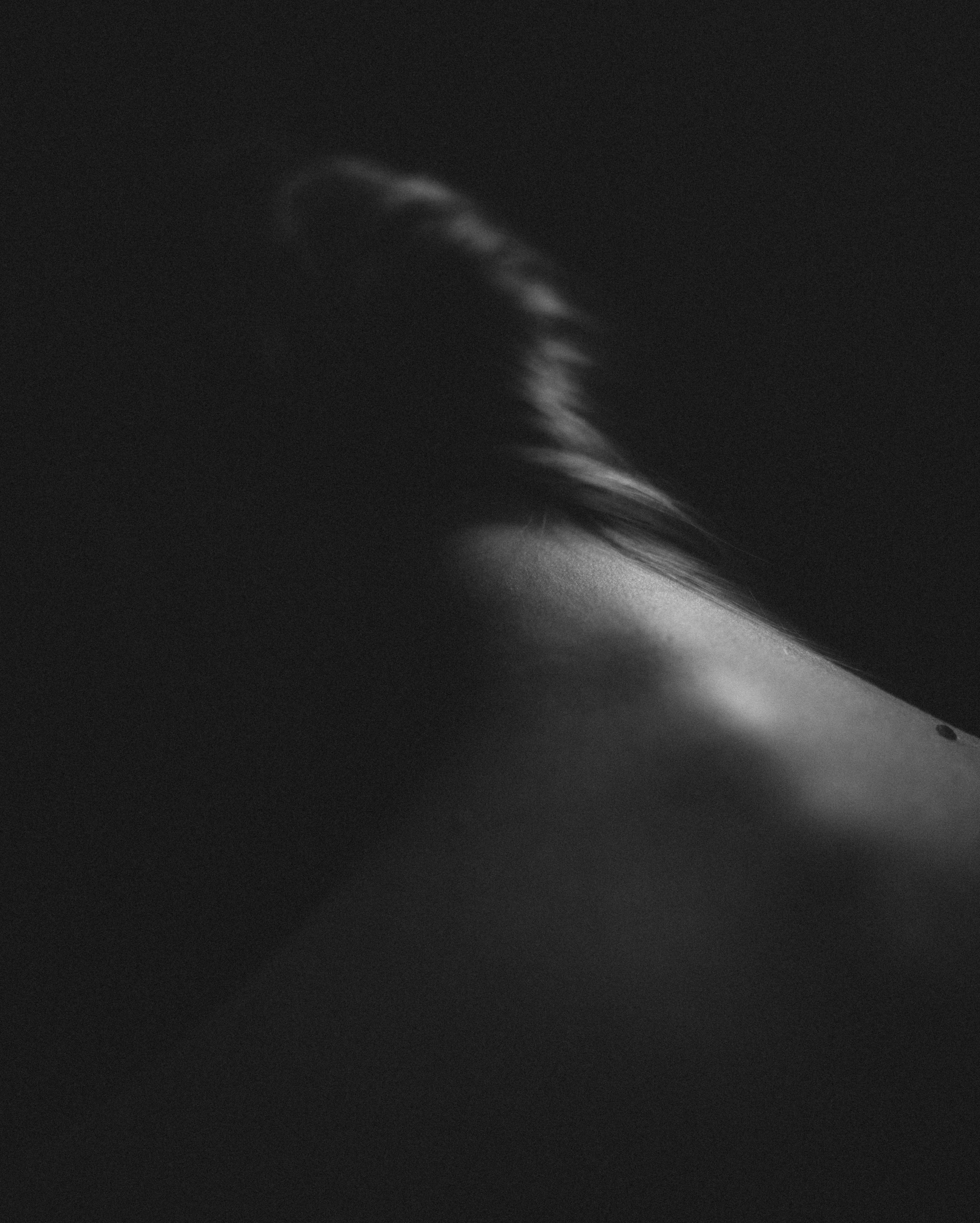 Латифа линии. Семейный фотограф в Москве и Московской области Донкова Екатерина