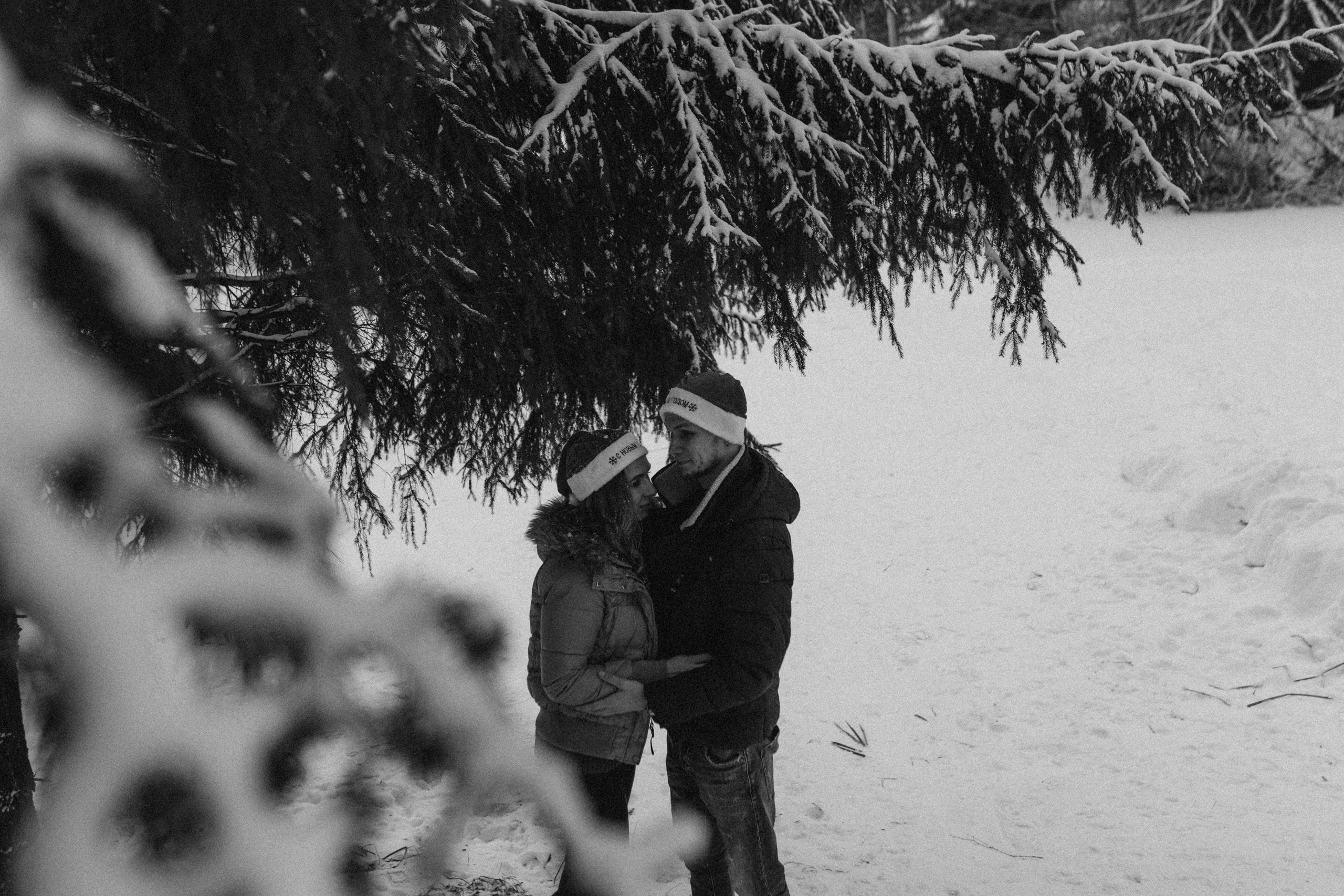 Елена & Александр. Семейный фотограф в Москве и Московской области Донкова Екатерина