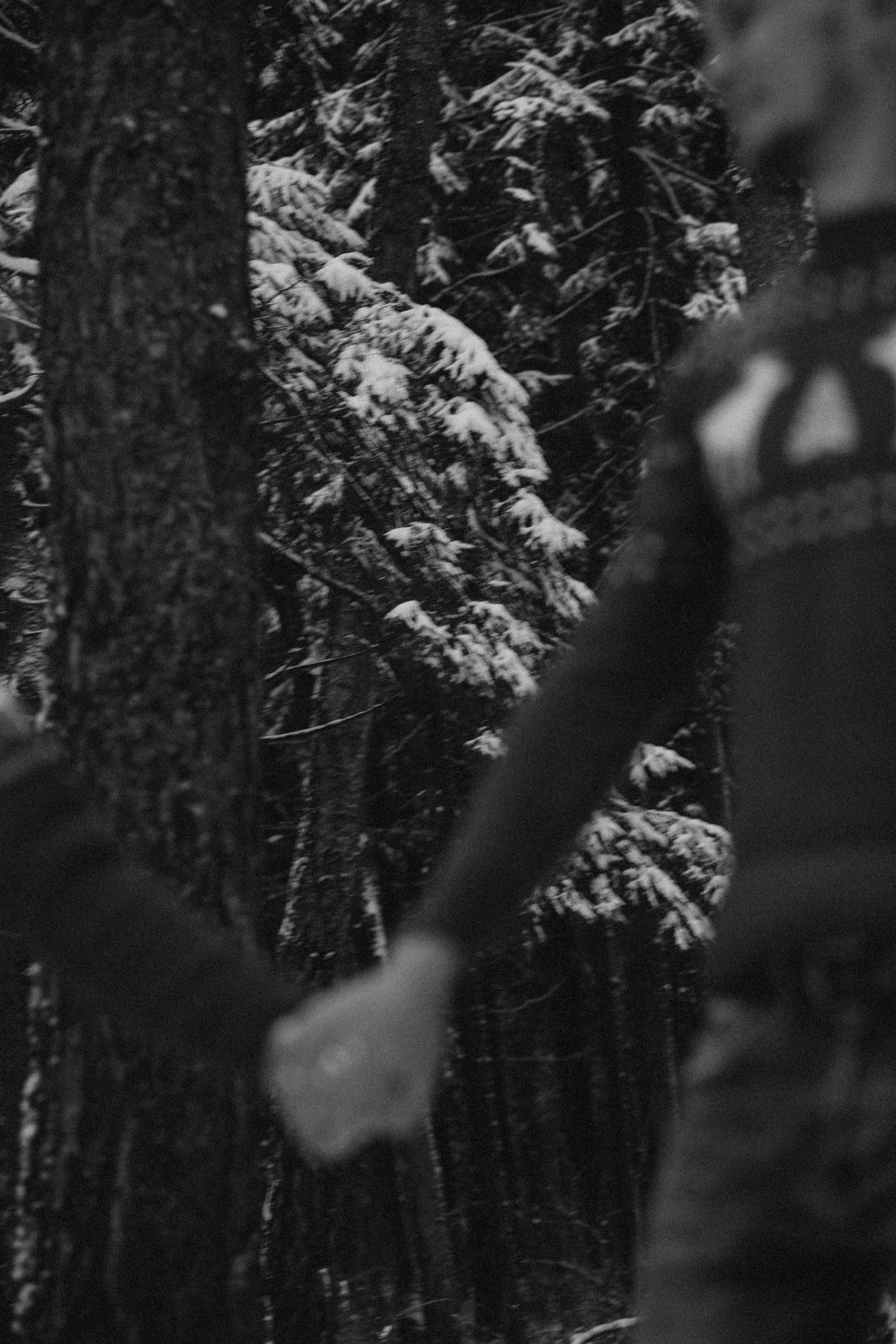 Елена & Александр. Семейный фотограф в Москве и Московской области Донкова Екатерина