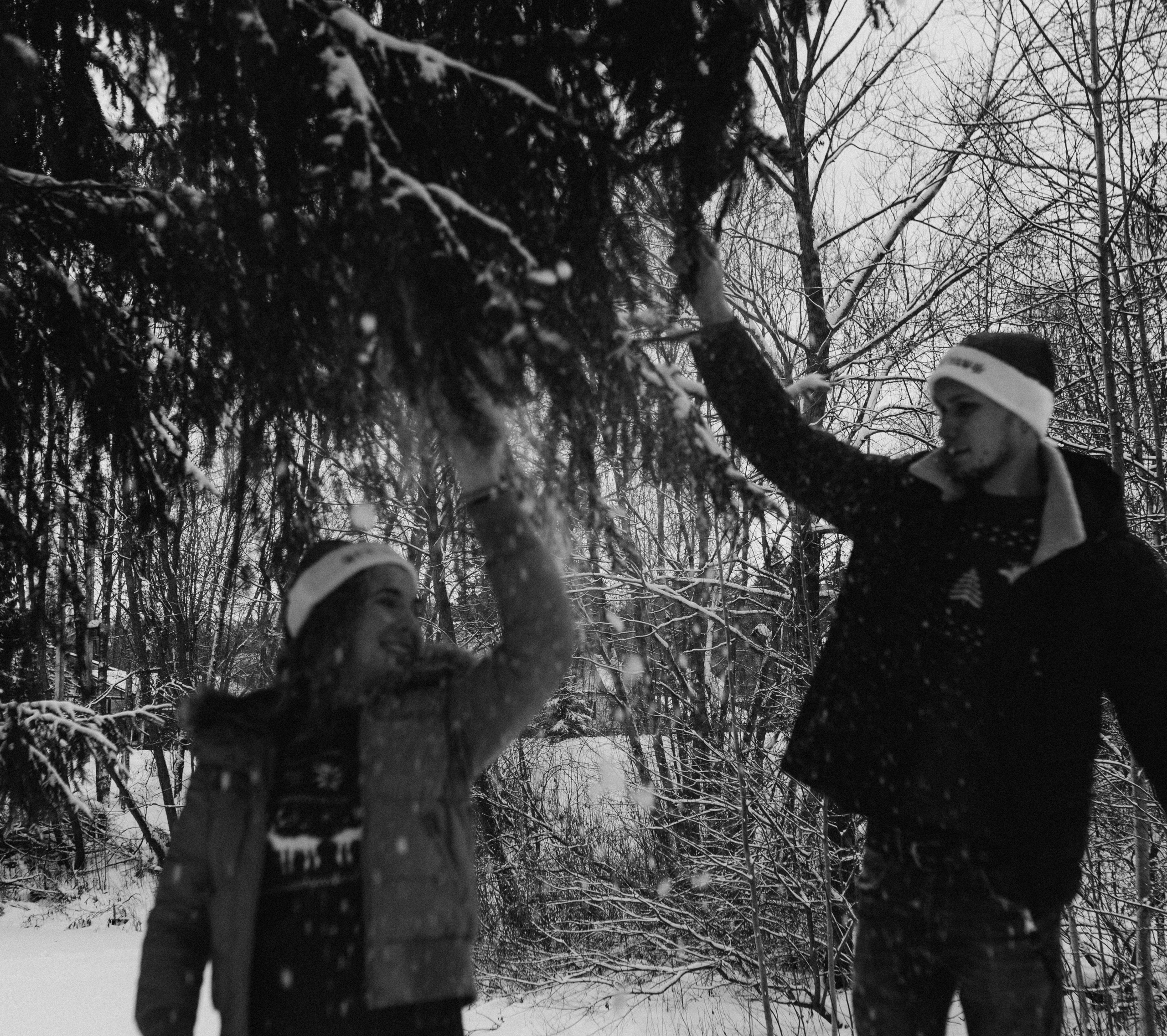 Елена & Александр. Семейный фотограф в Москве и Московской области Донкова Екатерина