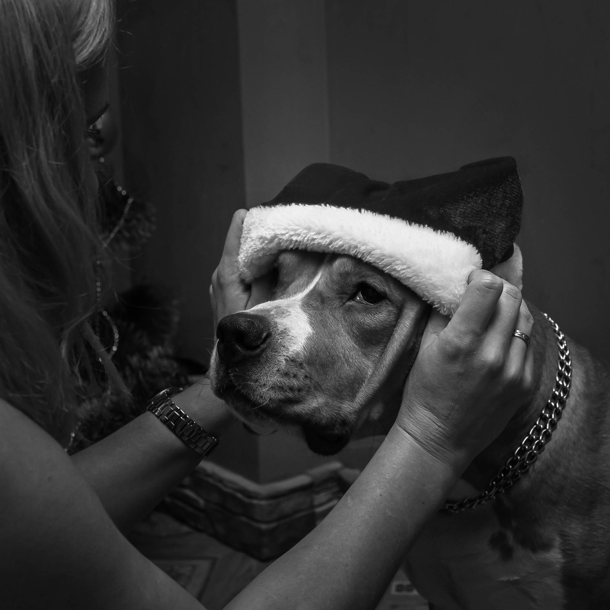 Ольга & Сергей домашняя семейная сьемка. Семейный фотограф в Москве и Московской области Донкова Екатерина