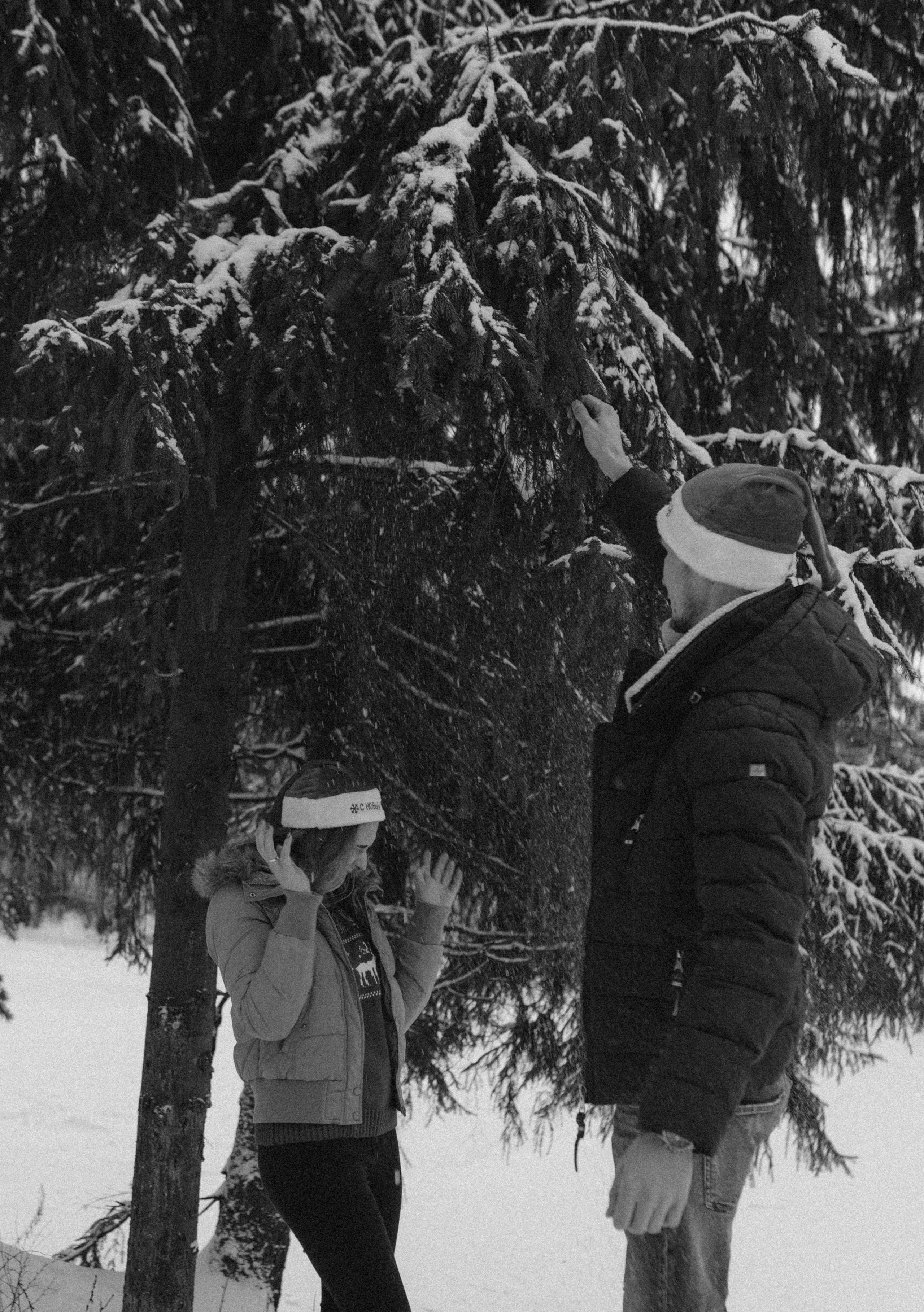 Елена & Александр. Семейный фотограф в Москве и Московской области Донкова Екатерина