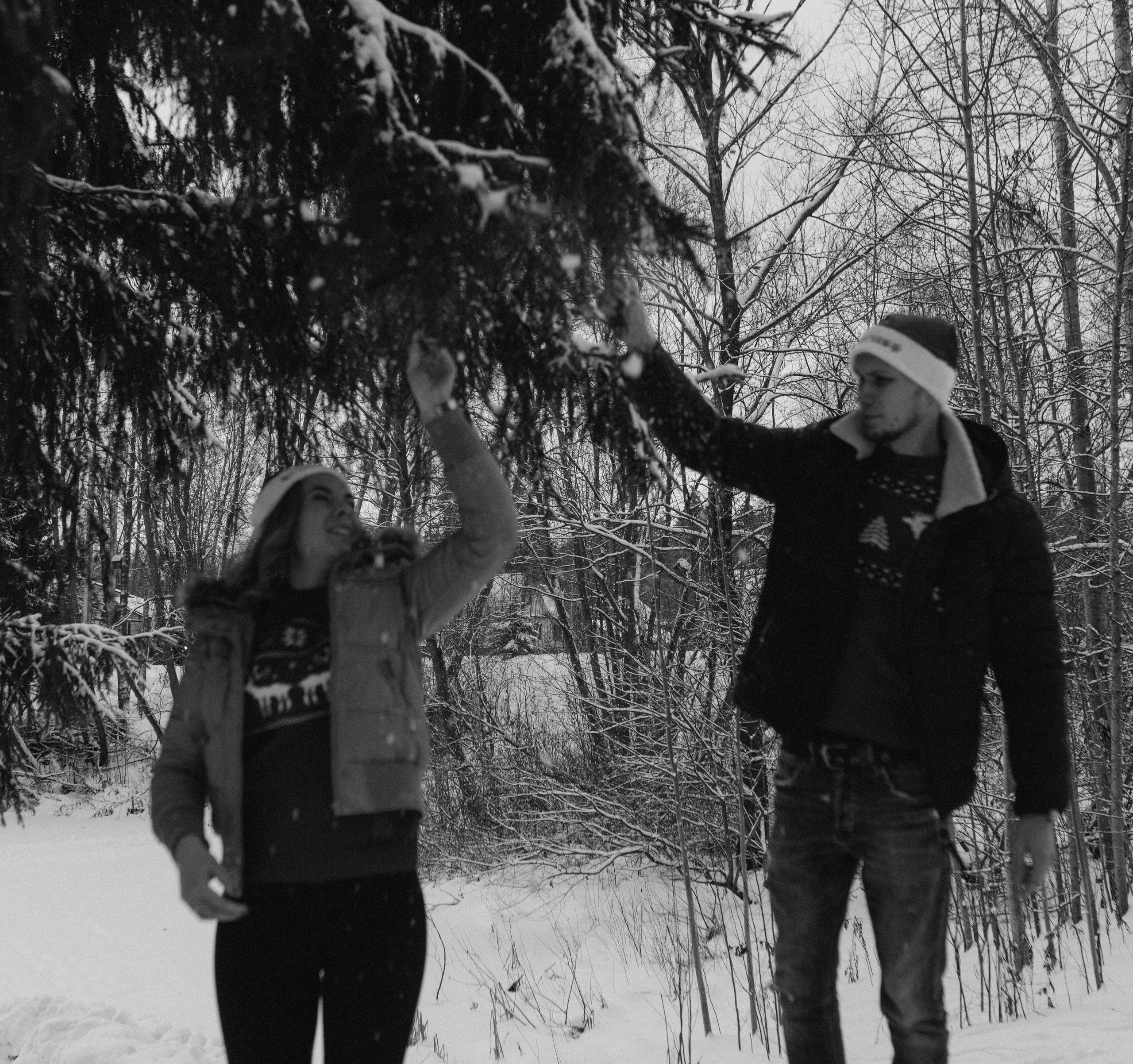 Елена & Александр. Семейный фотограф в Москве и Московской области Донкова Екатерина