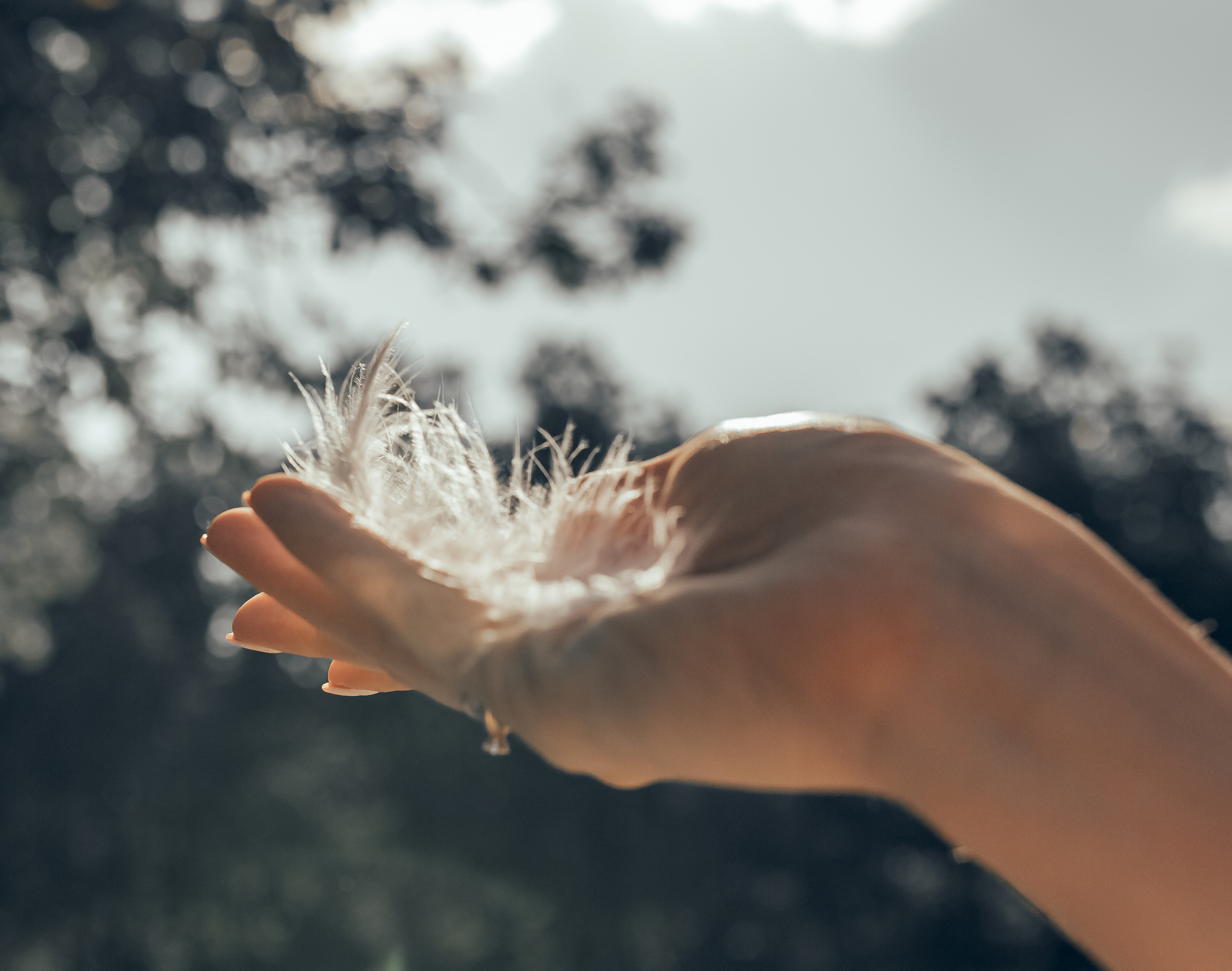Аня & Андрей прогулка. Семейный фотограф в Москве и Московской области Донкова Екатерина