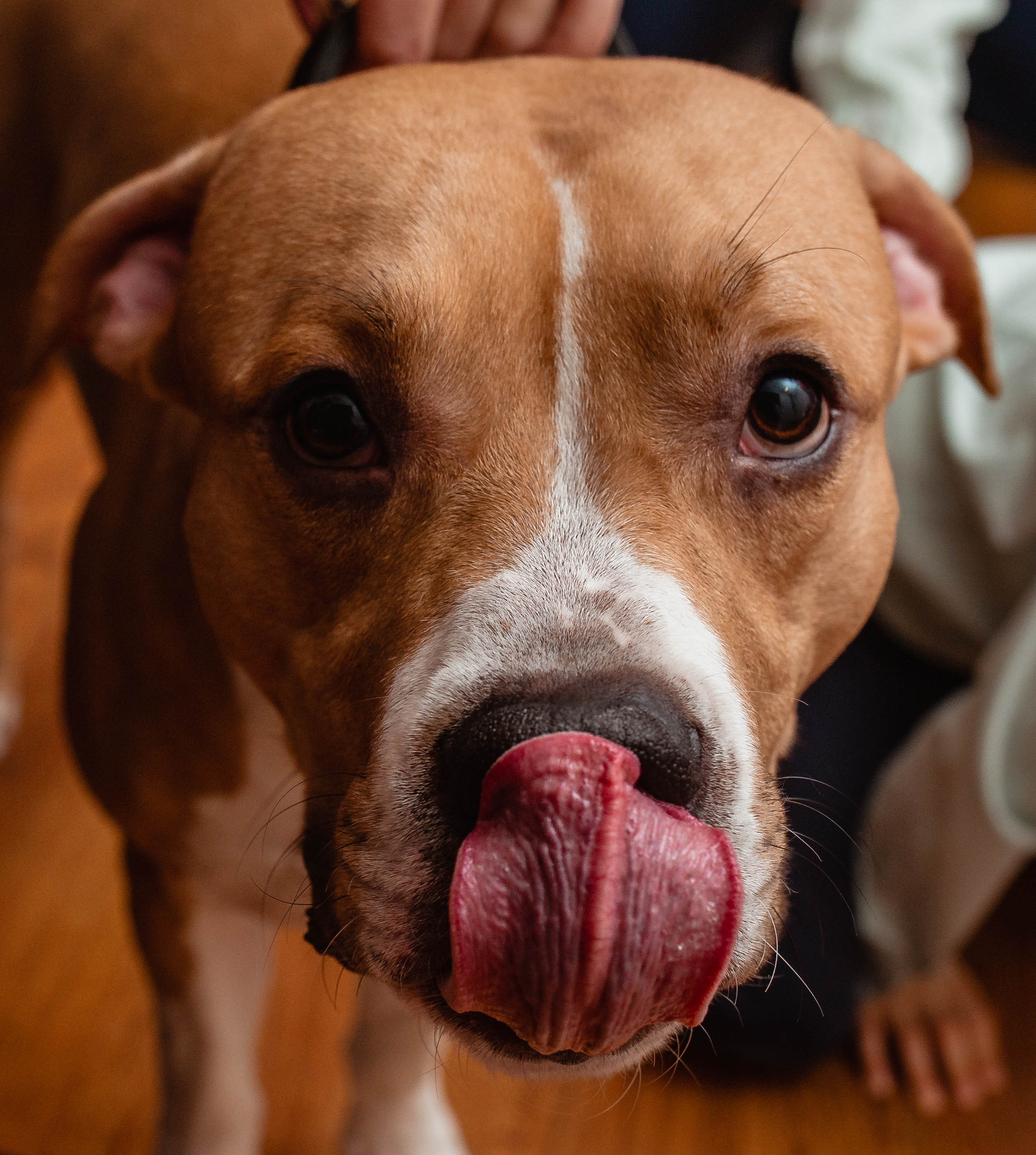 Ольга & Сергей домашняя семейная сьемка. Семейный фотограф в Москве и Московской области Донкова Екатерина