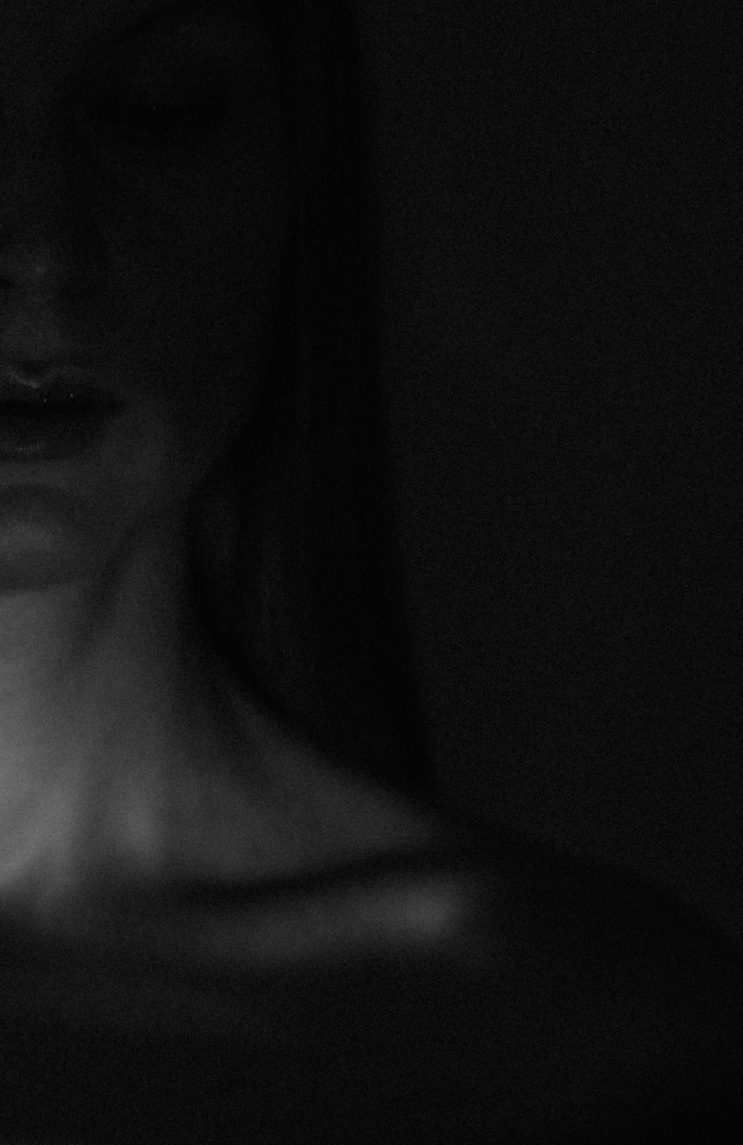 Латифа линии. Семейный фотограф в Москве и Московской области Донкова Екатерина