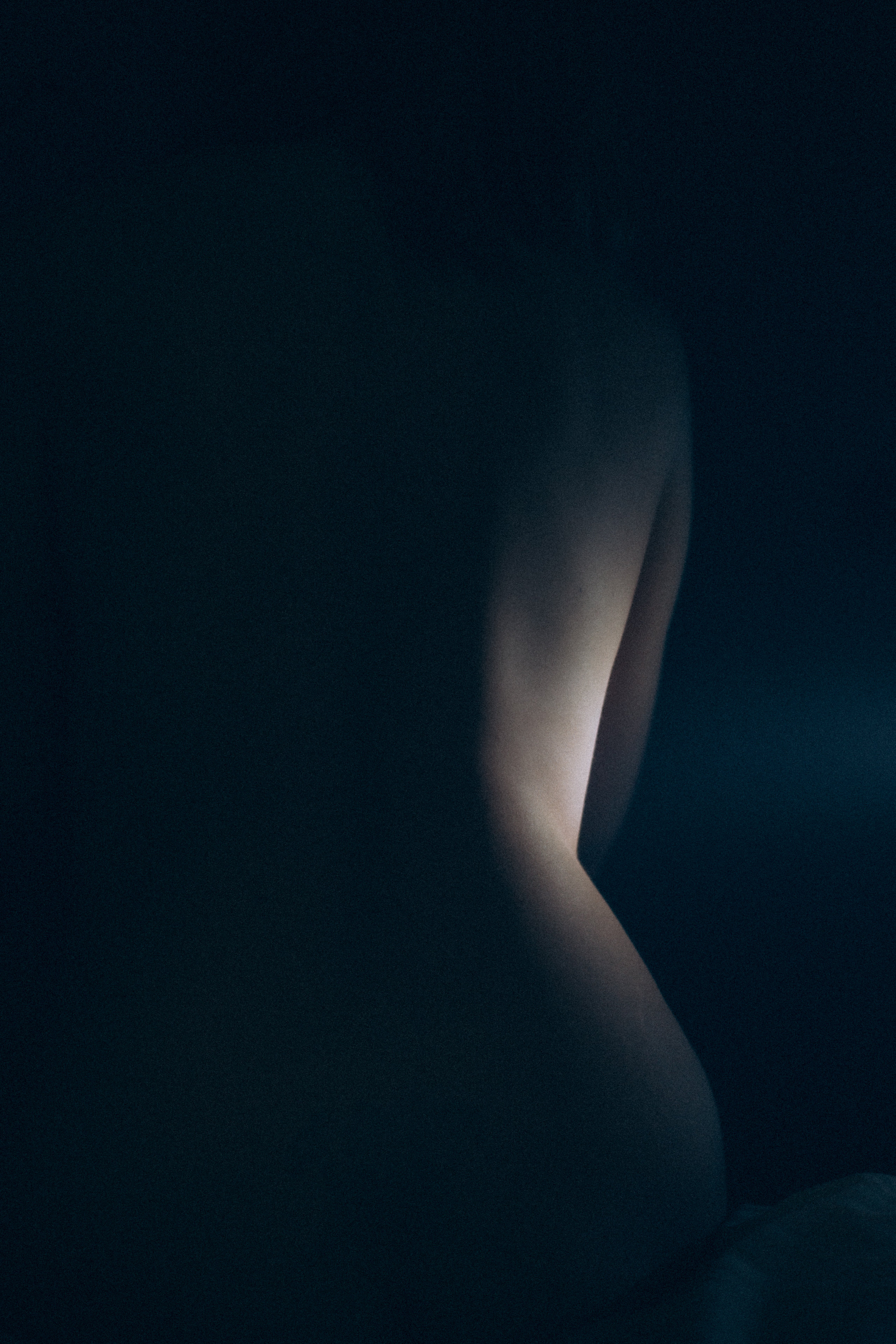 Латифа линии. Семейный фотограф в Москве и Московской области Донкова Екатерина