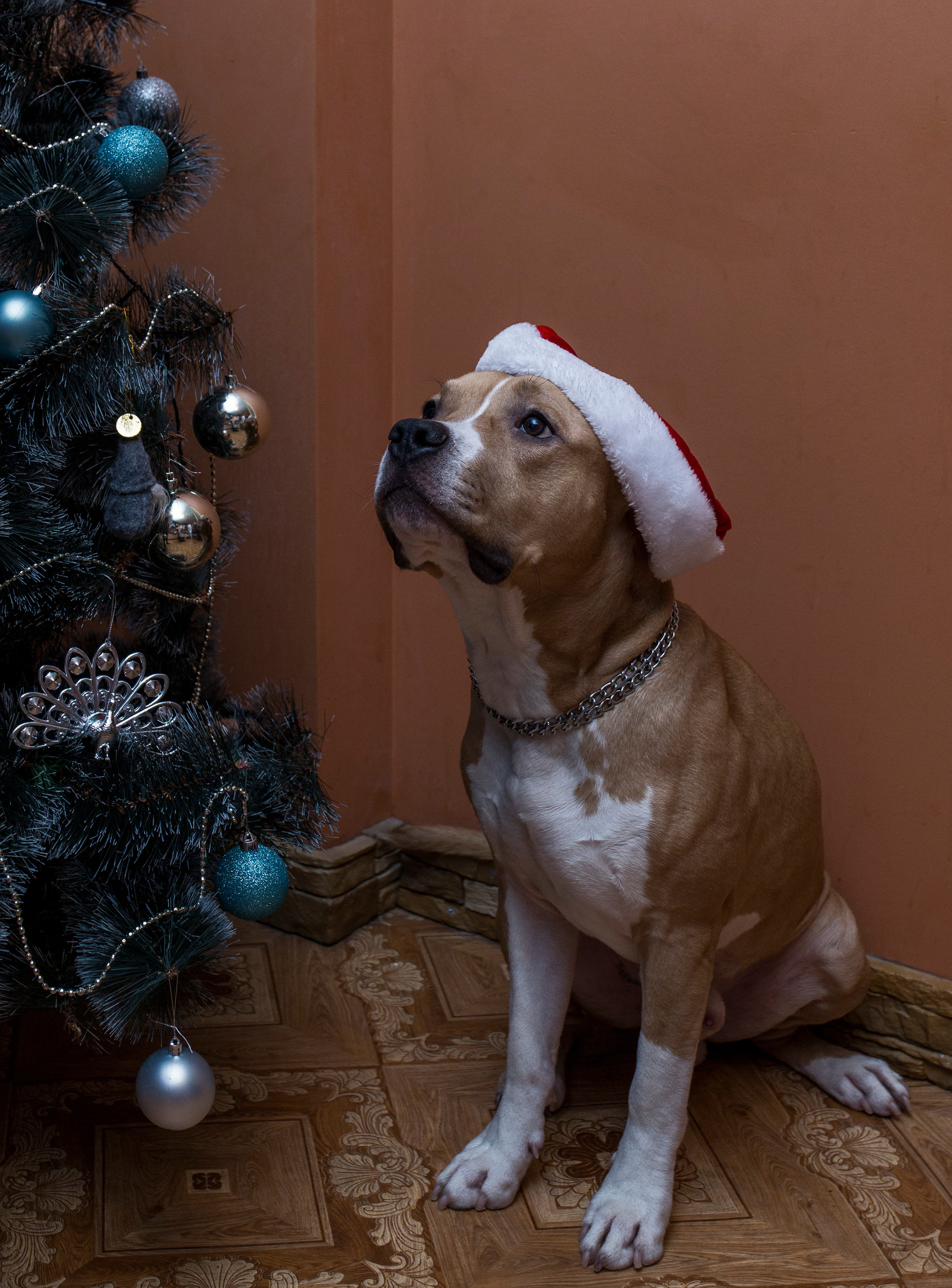 Ольга & Сергей домашняя семейная сьемка. Семейный фотограф в Москве и Московской области Донкова Екатерина