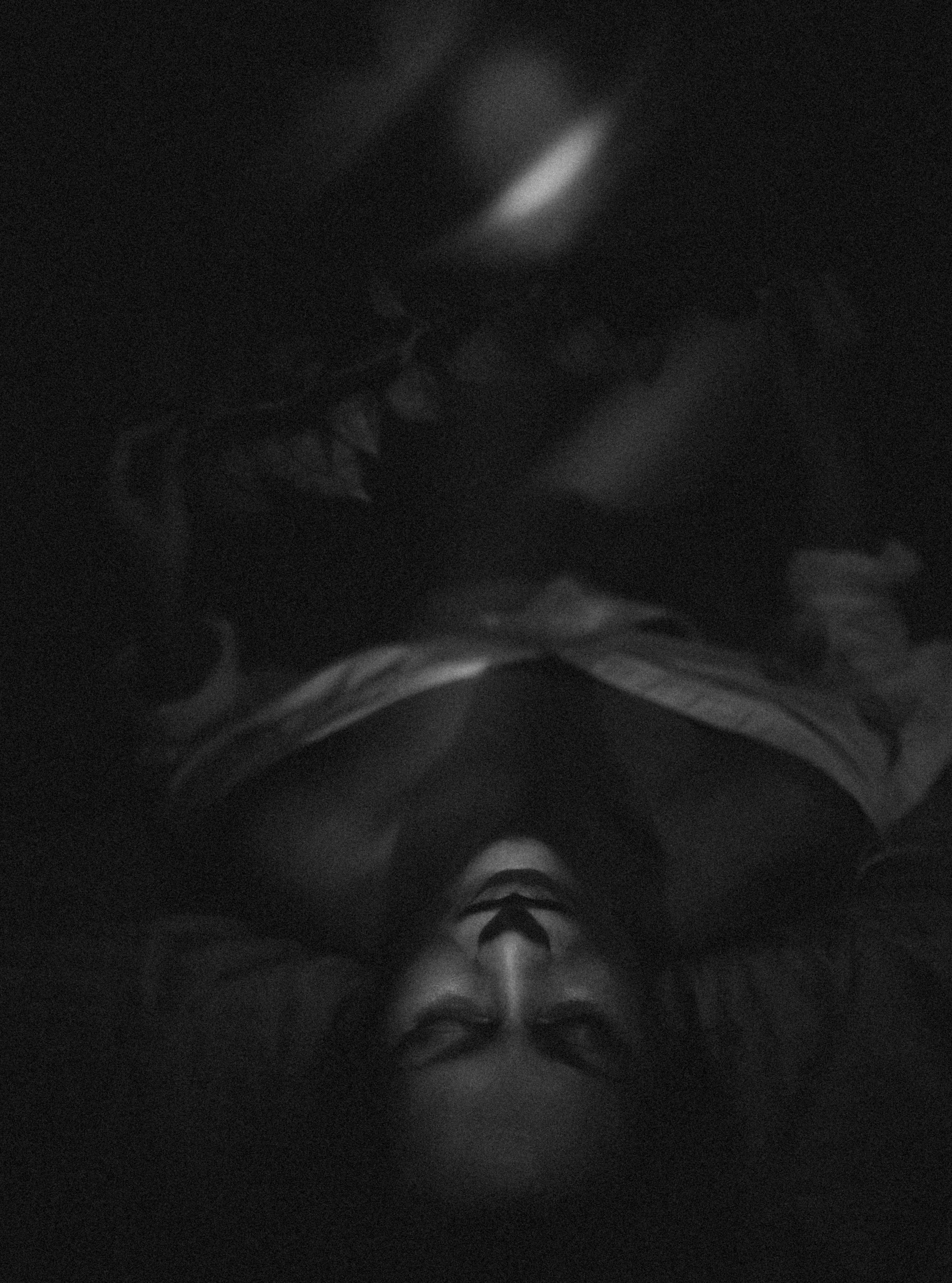 Латифа линии. Семейный фотограф в Москве и Московской области Донкова Екатерина