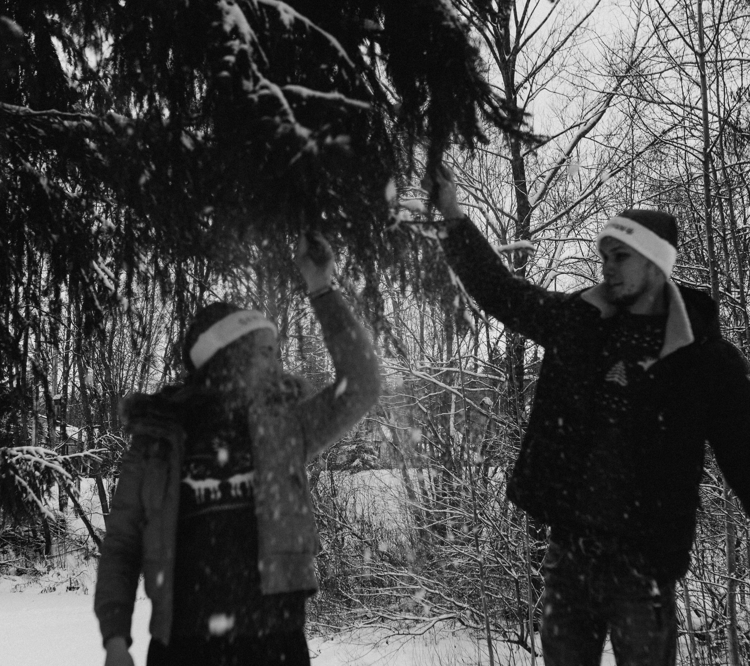 Елена & Александр. Семейный фотограф в Москве и Московской области Донкова Екатерина