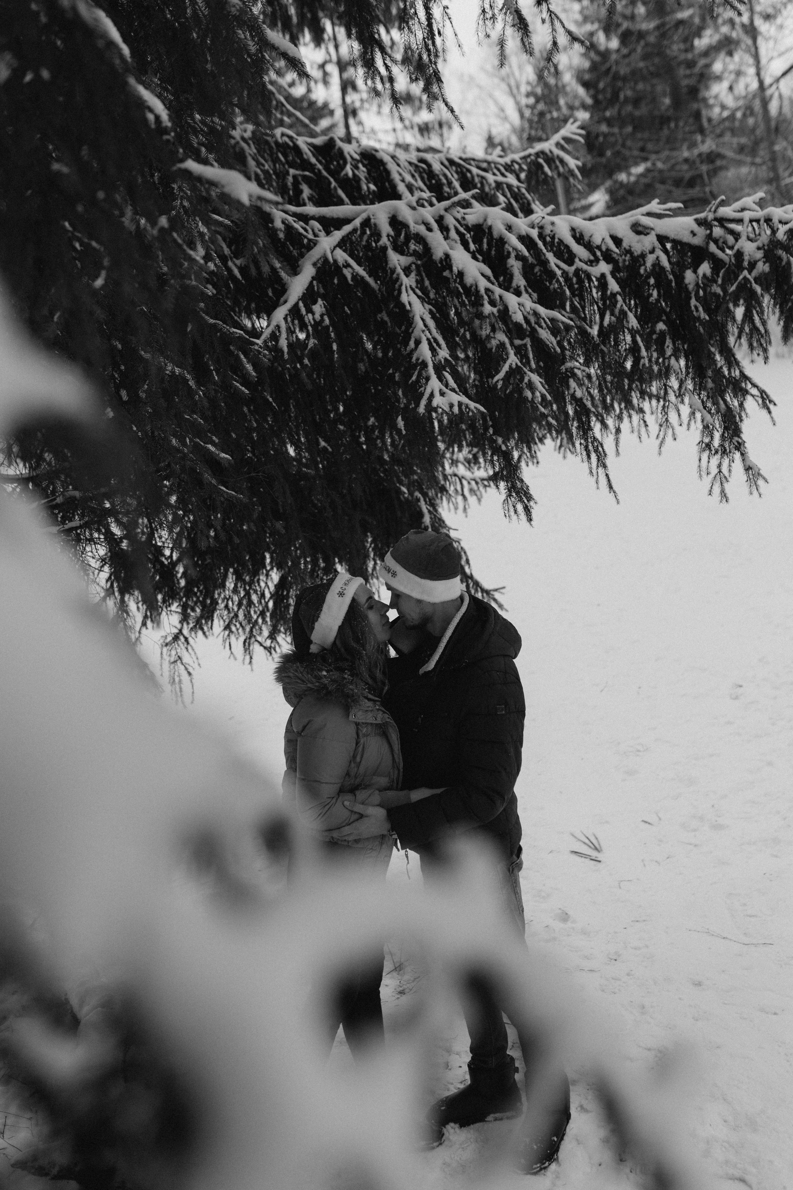 Елена & Александр. Семейный фотограф в Москве и Московской области Донкова Екатерина