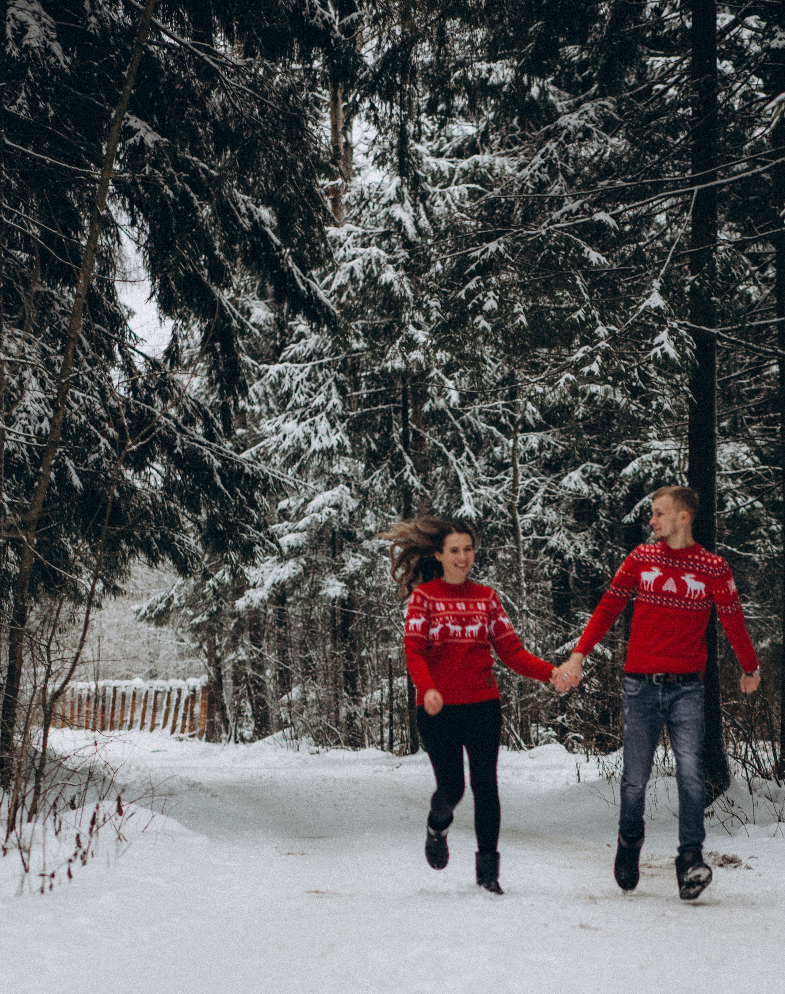 Елена & Александр. Семейный фотограф в Москве и Московской области Донкова Екатерина