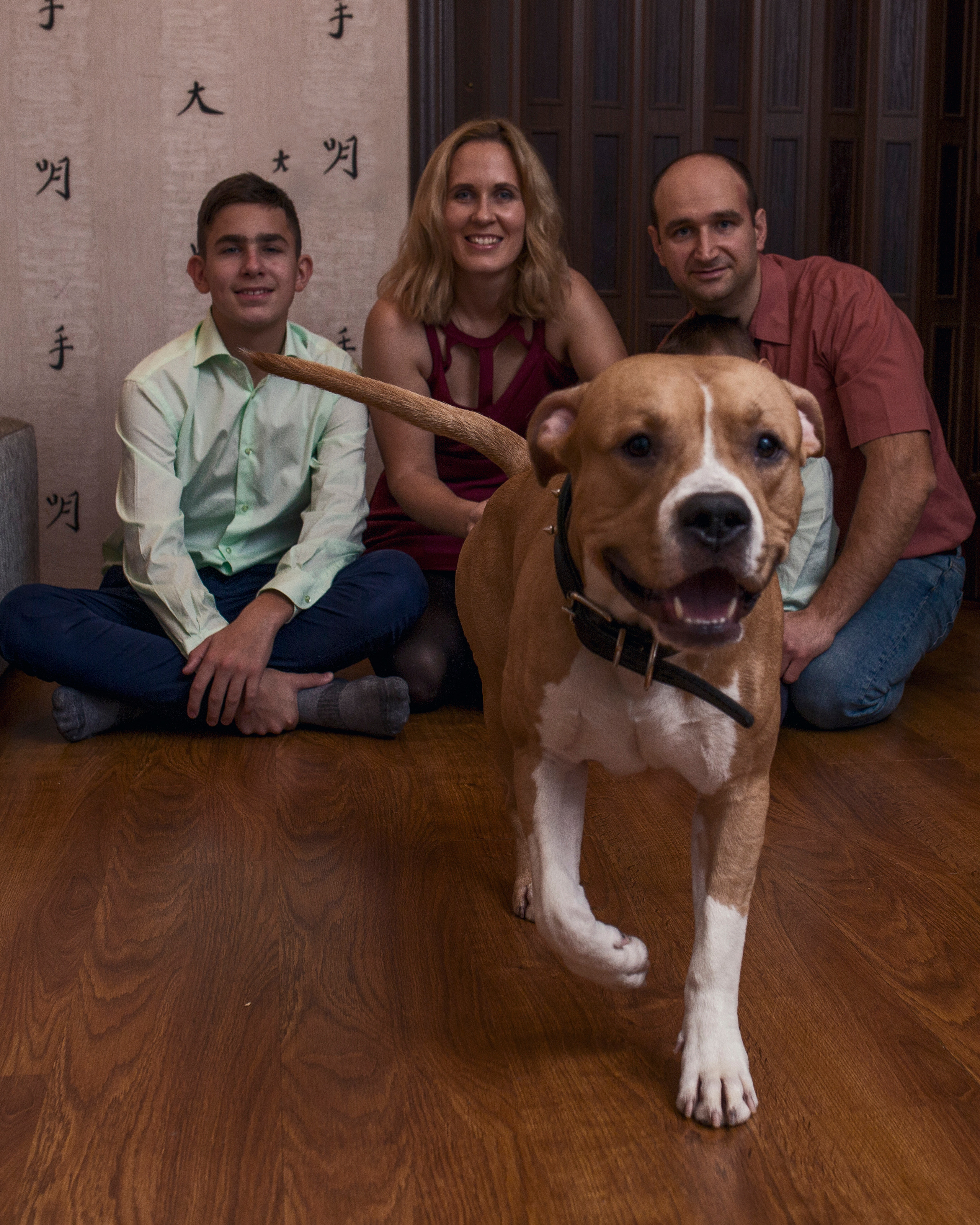 Ольга & Сергей домашняя семейная сьемка. Семейный фотограф в Москве и Московской области Донкова Екатерина