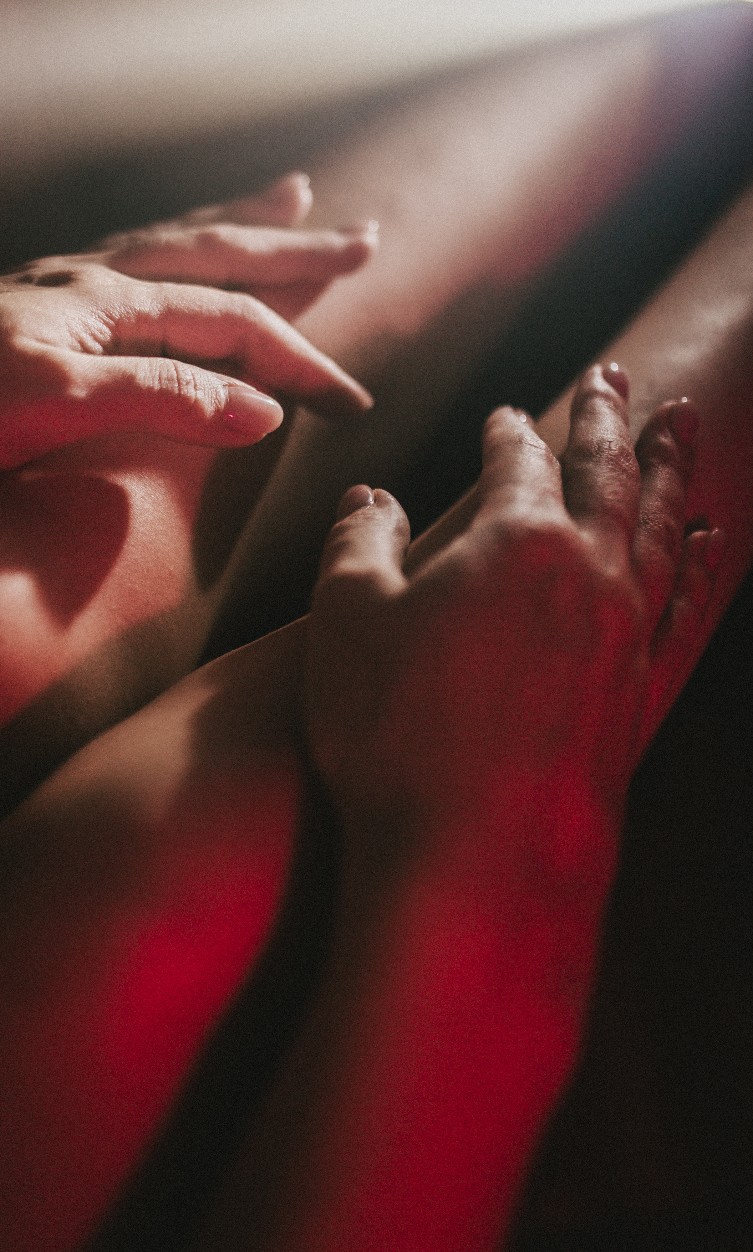 Латифа линии. Семейный фотограф в Москве и Московской области Донкова Екатерина