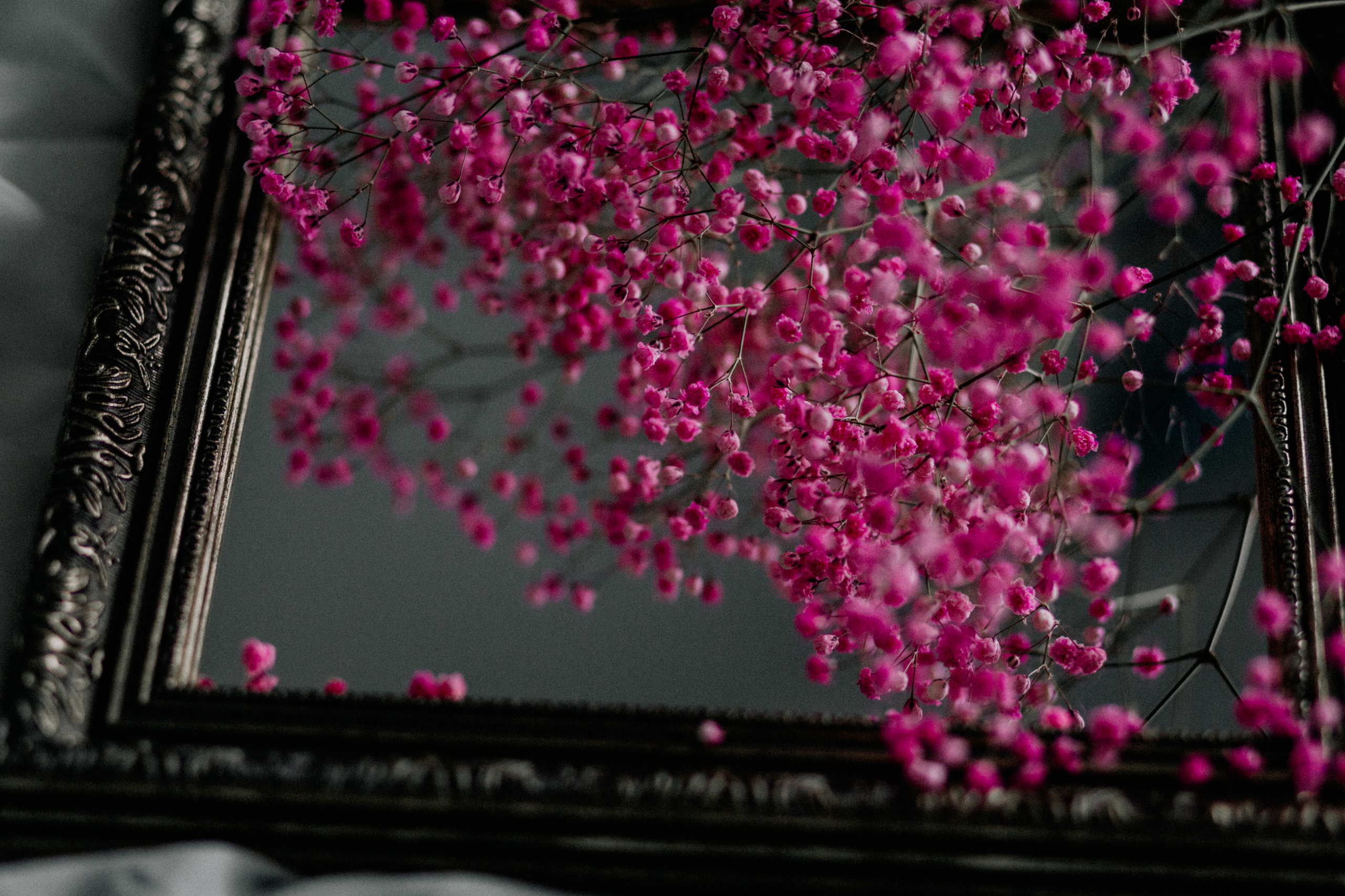 Ксения в ожидании. Семейный фотограф в Москве и Московской области Донкова Екатерина