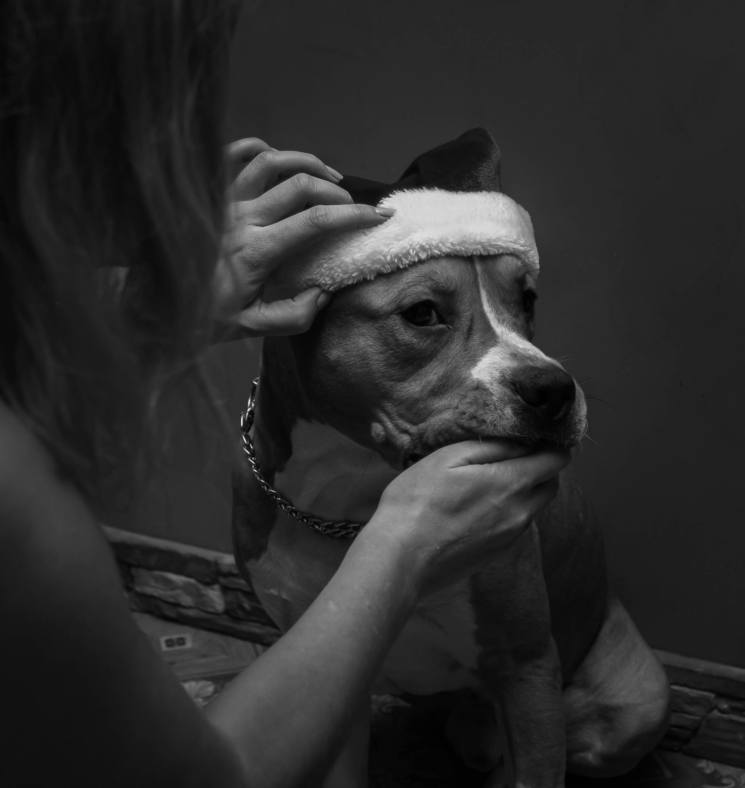 Ольга & Сергей домашняя семейная сьемка. Семейный фотограф в Москве и Московской области Донкова Екатерина