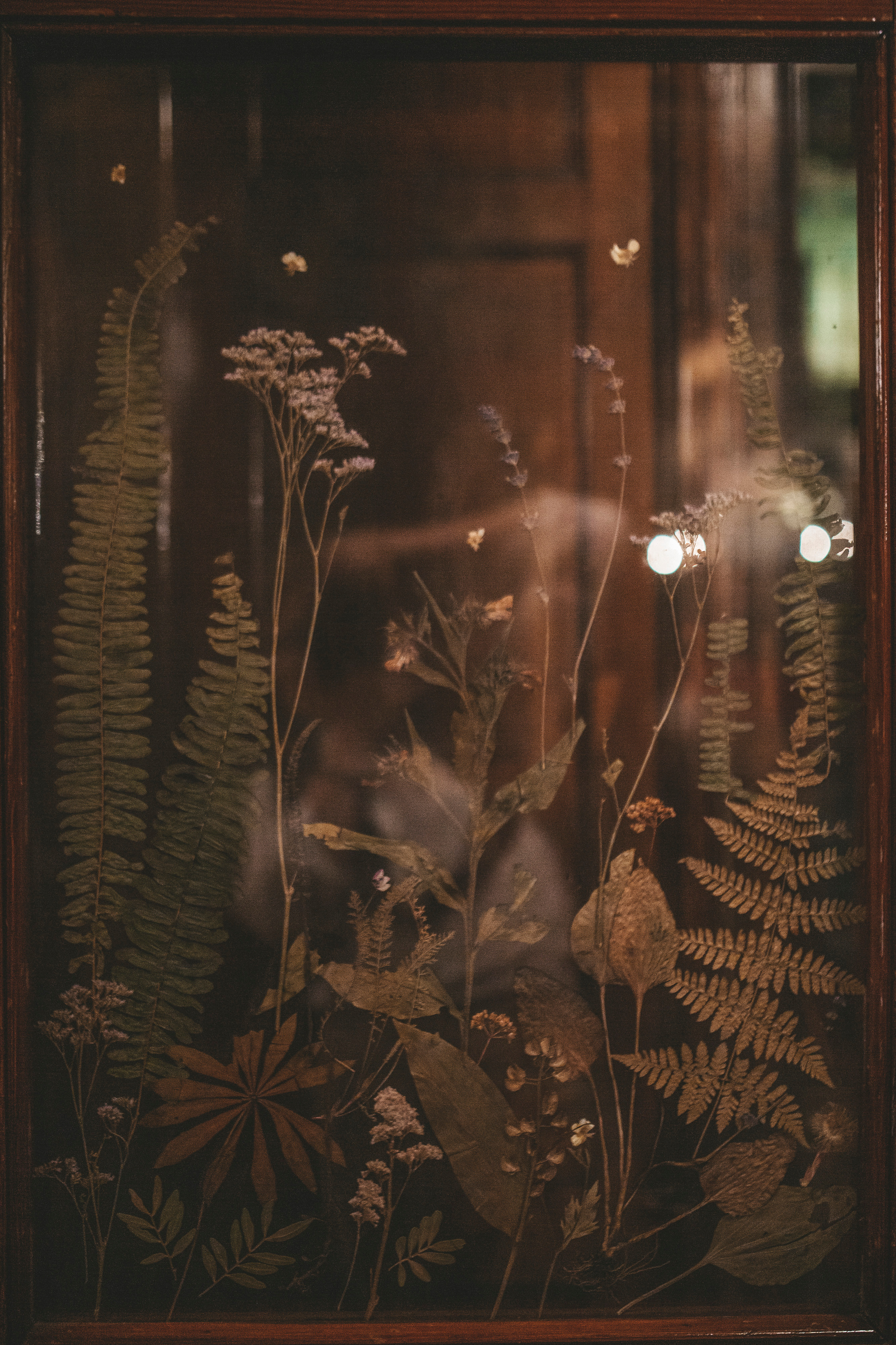 Инна street Nikolskaya. Семейный фотограф в Москве и Московской области Донкова Екатерина