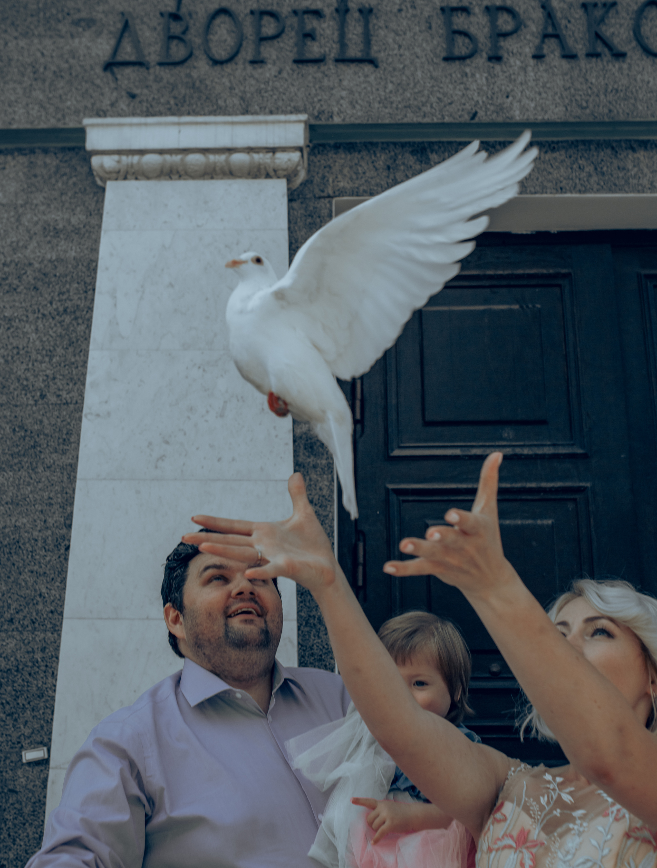 Аня & Андрей ЗАГС. Семейный фотограф в Москве и Московской области Донкова Екатерина