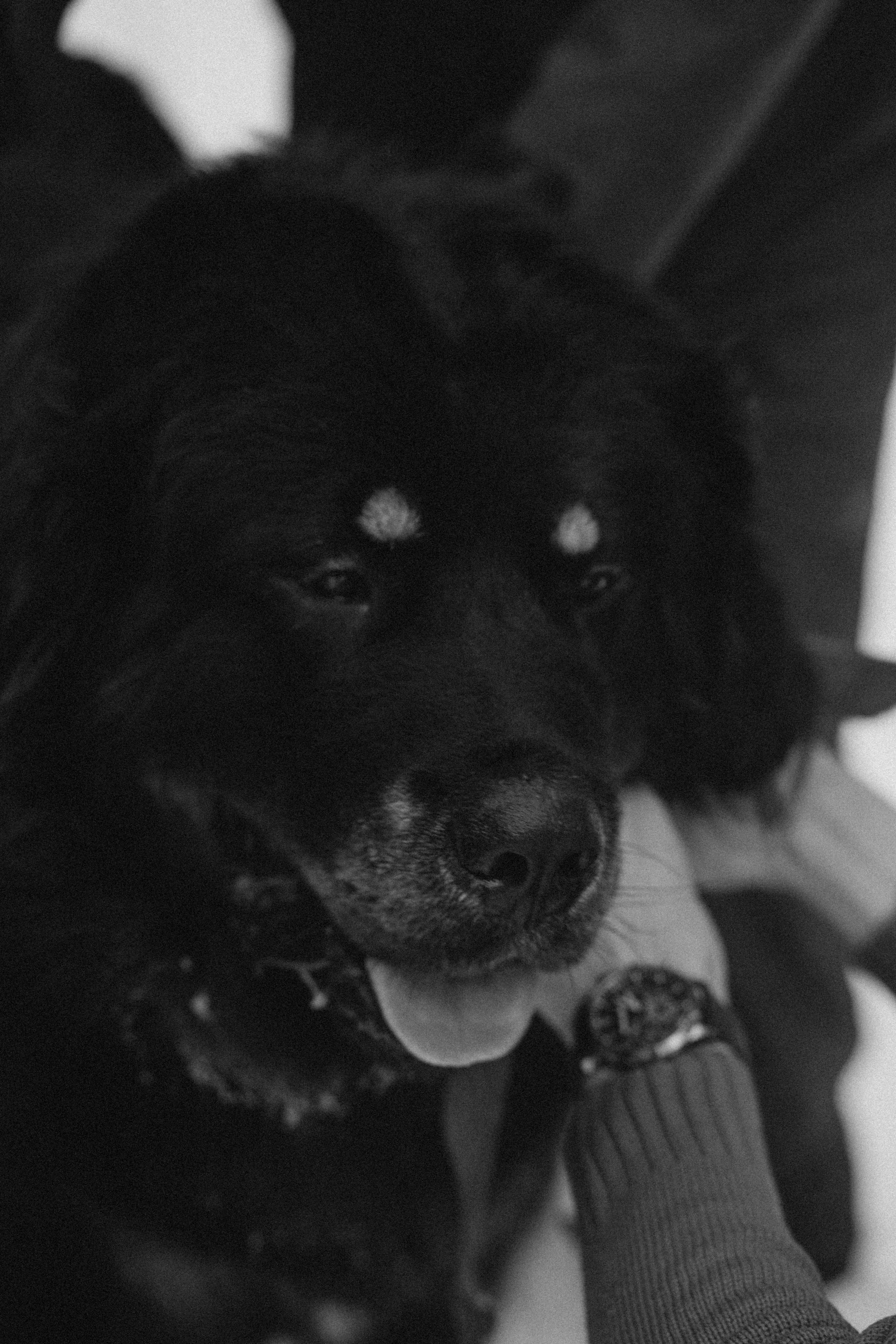 Елена & Александр. Семейный фотограф в Москве и Московской области Донкова Екатерина