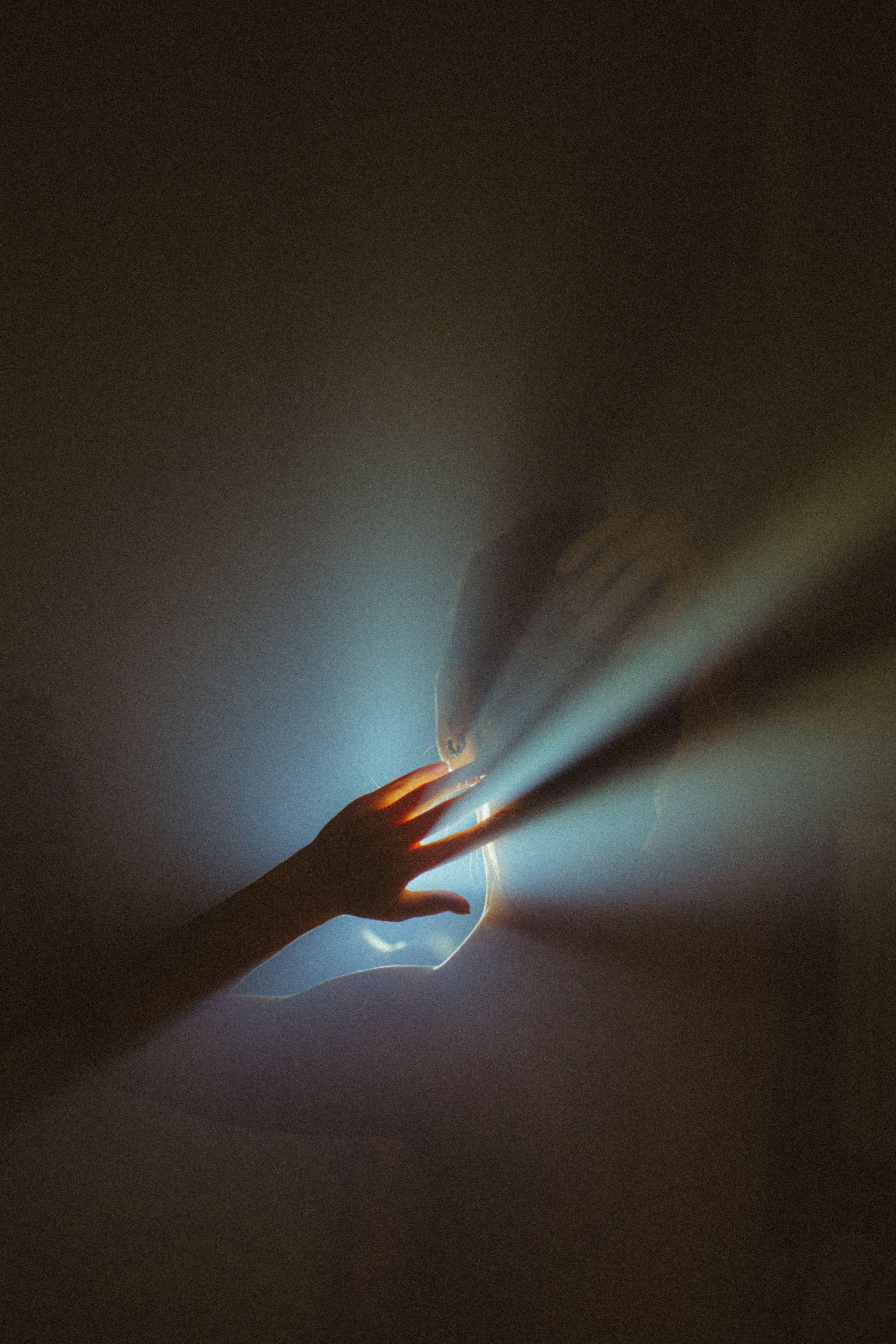 Латифа линии. Семейный фотограф в Москве и Московской области Донкова Екатерина