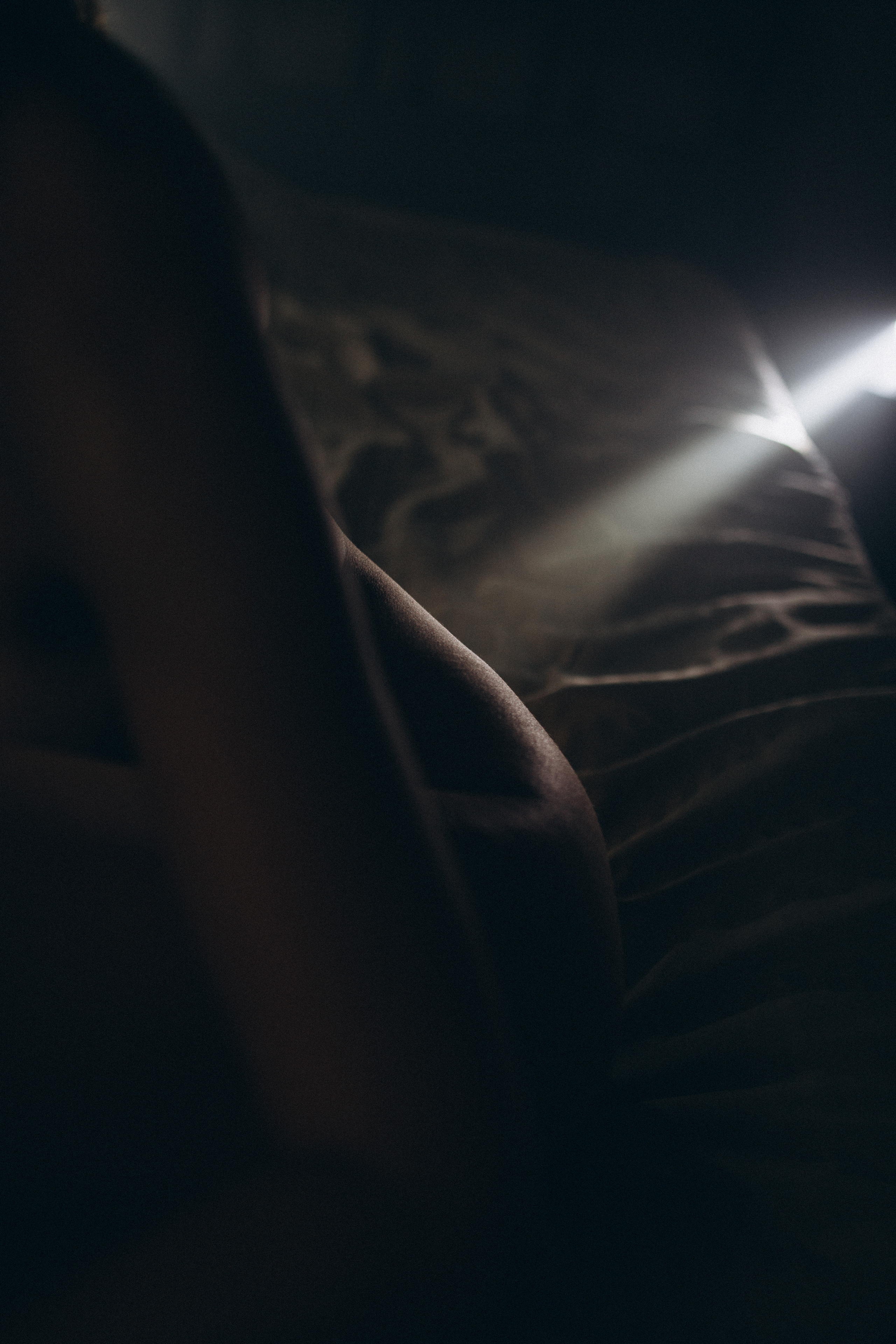 Латифа линии. Семейный фотограф в Москве и Московской области Донкова Екатерина