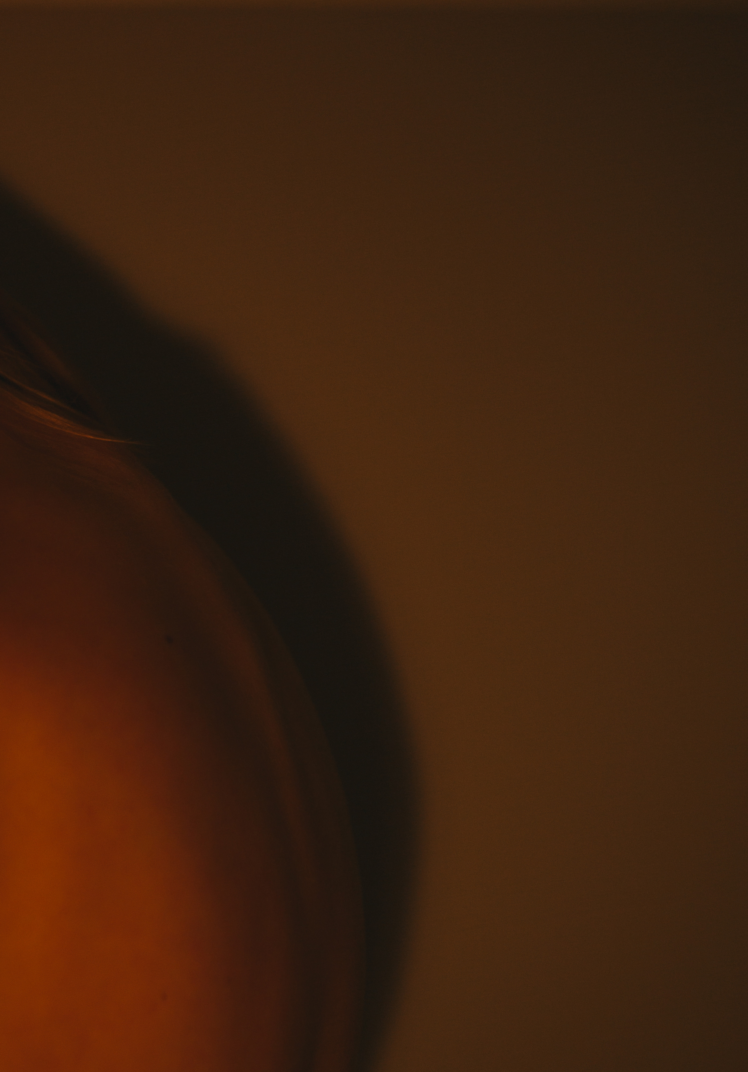 Латифа линии. Семейный фотограф в Москве и Московской области Донкова Екатерина