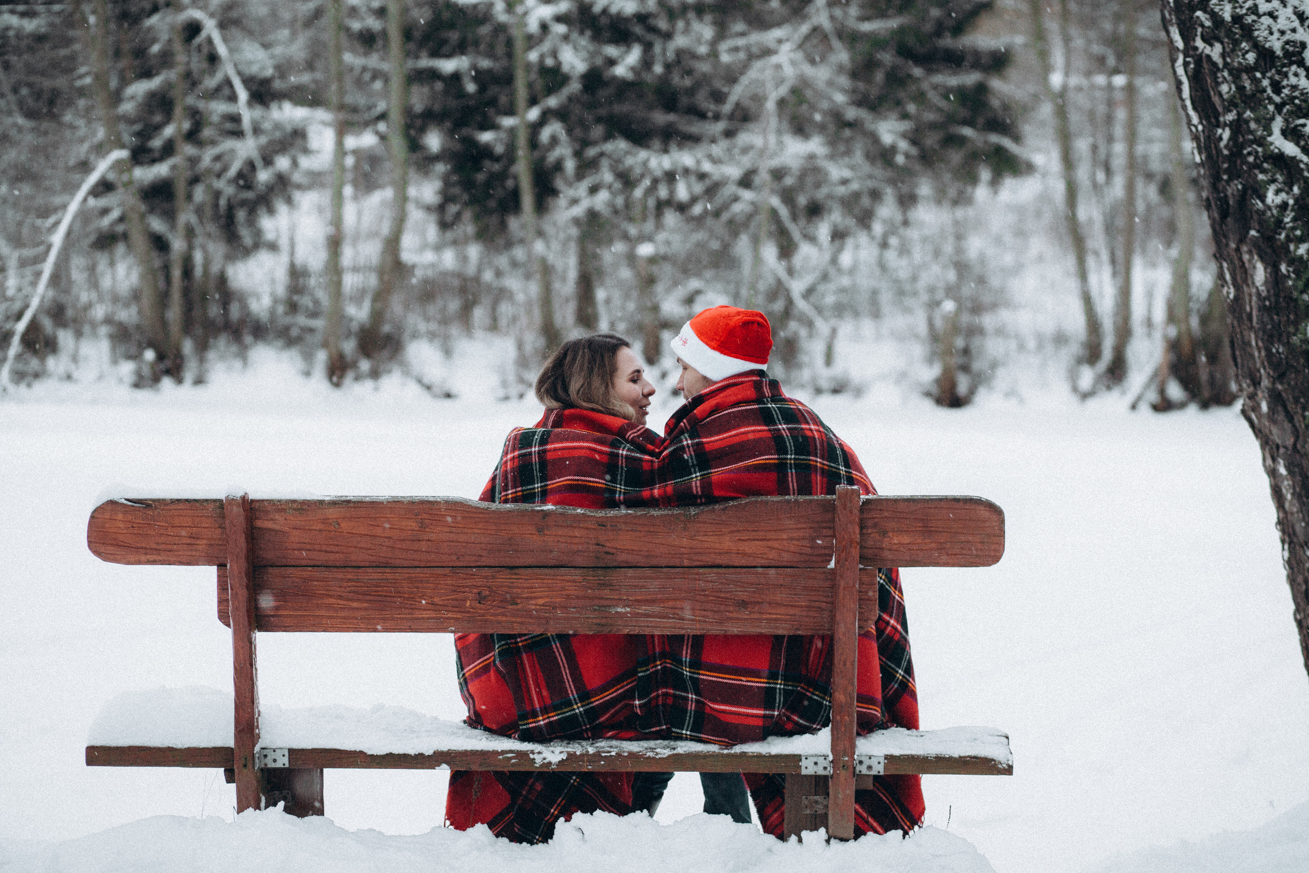 Елена & Александр. Семейный фотограф в Москве и Московской области Донкова Екатерина