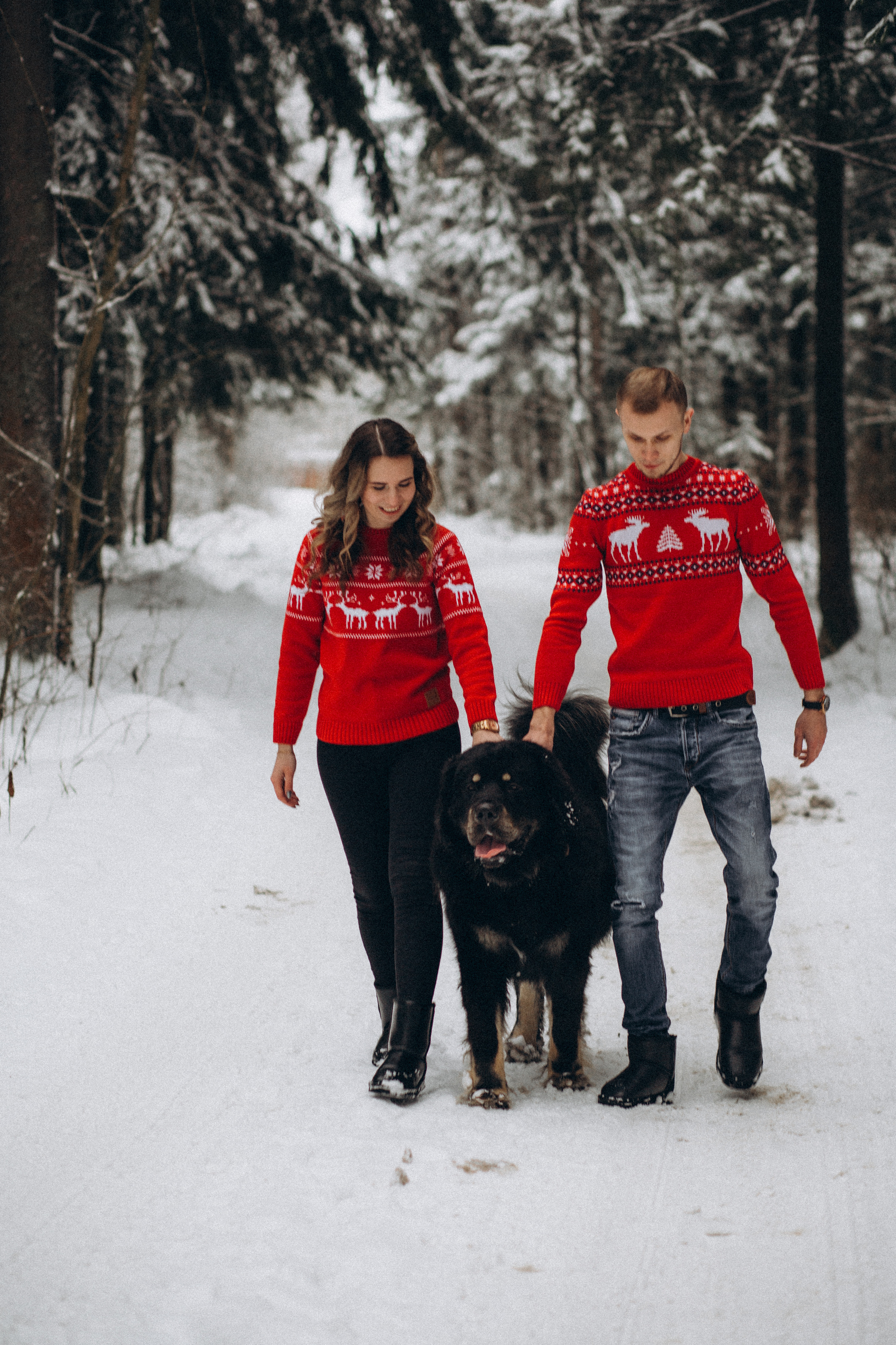 Елена & Александр. Семейный фотограф в Москве и Московской области Донкова Екатерина