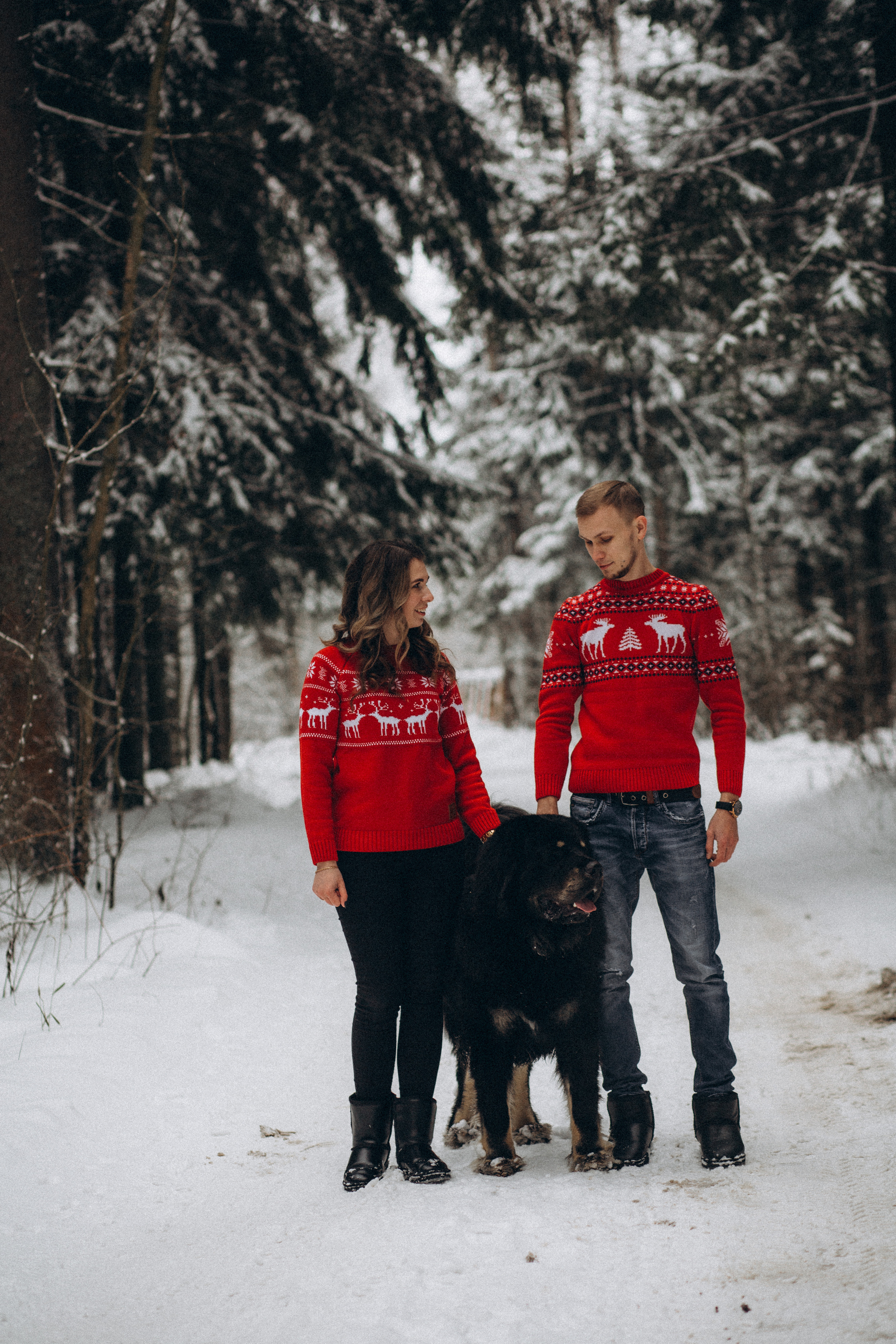 Елена & Александр. Семейный фотограф в Москве и Московской области Донкова Екатерина