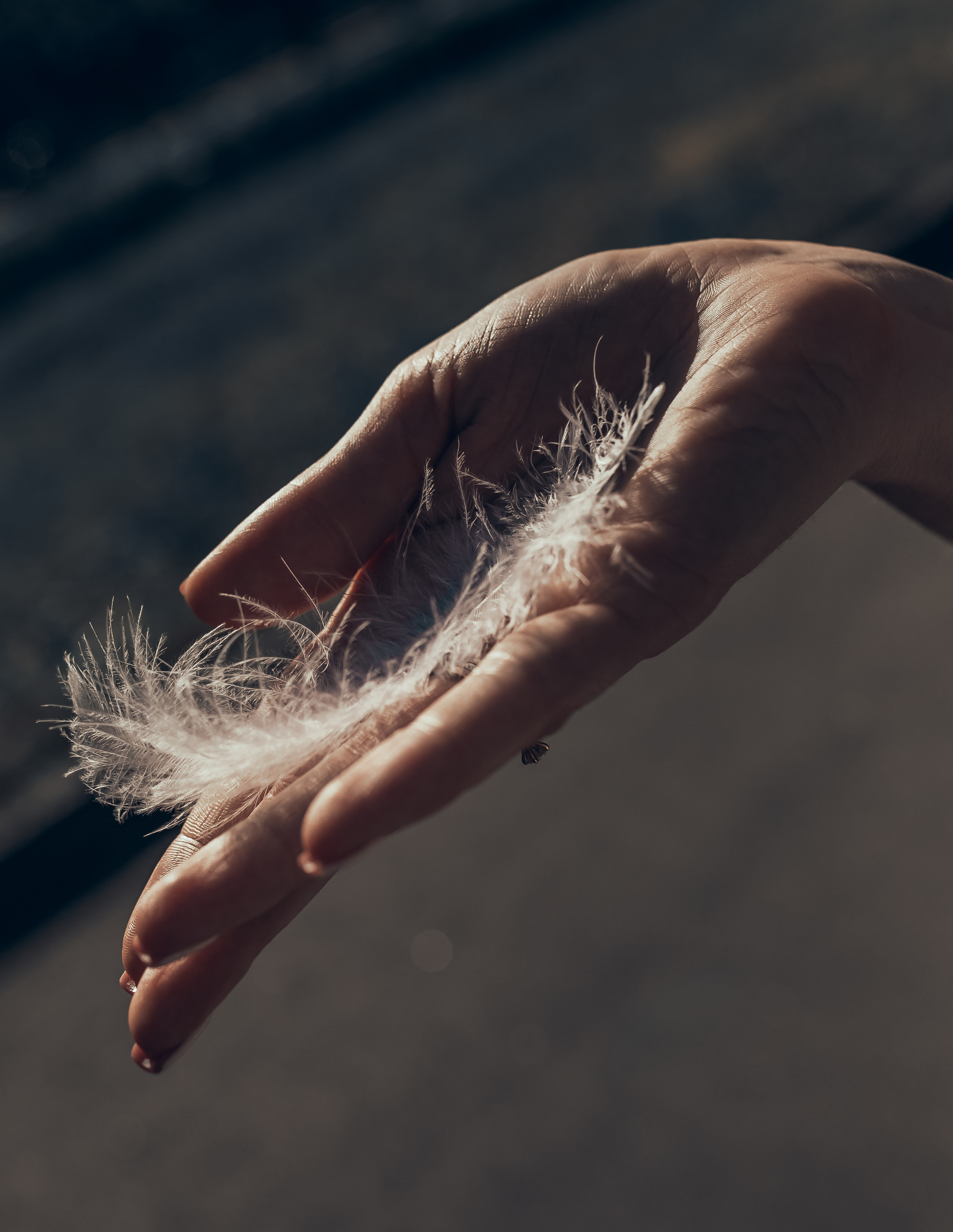 Аня & Андрей прогулка. Семейный фотограф в Москве и Московской области Донкова Екатерина