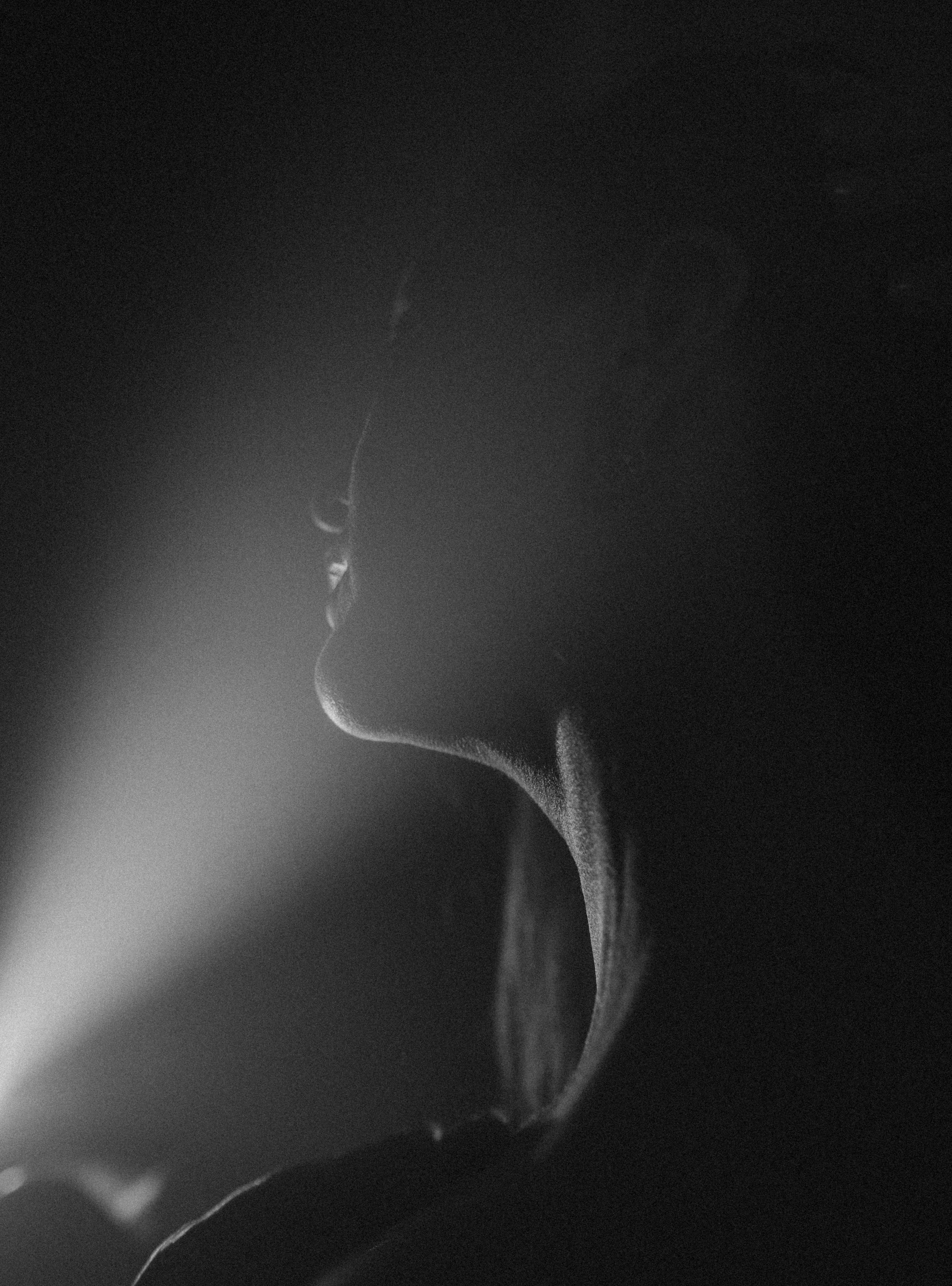 Латифа линии. Семейный фотограф в Москве и Московской области Донкова Екатерина