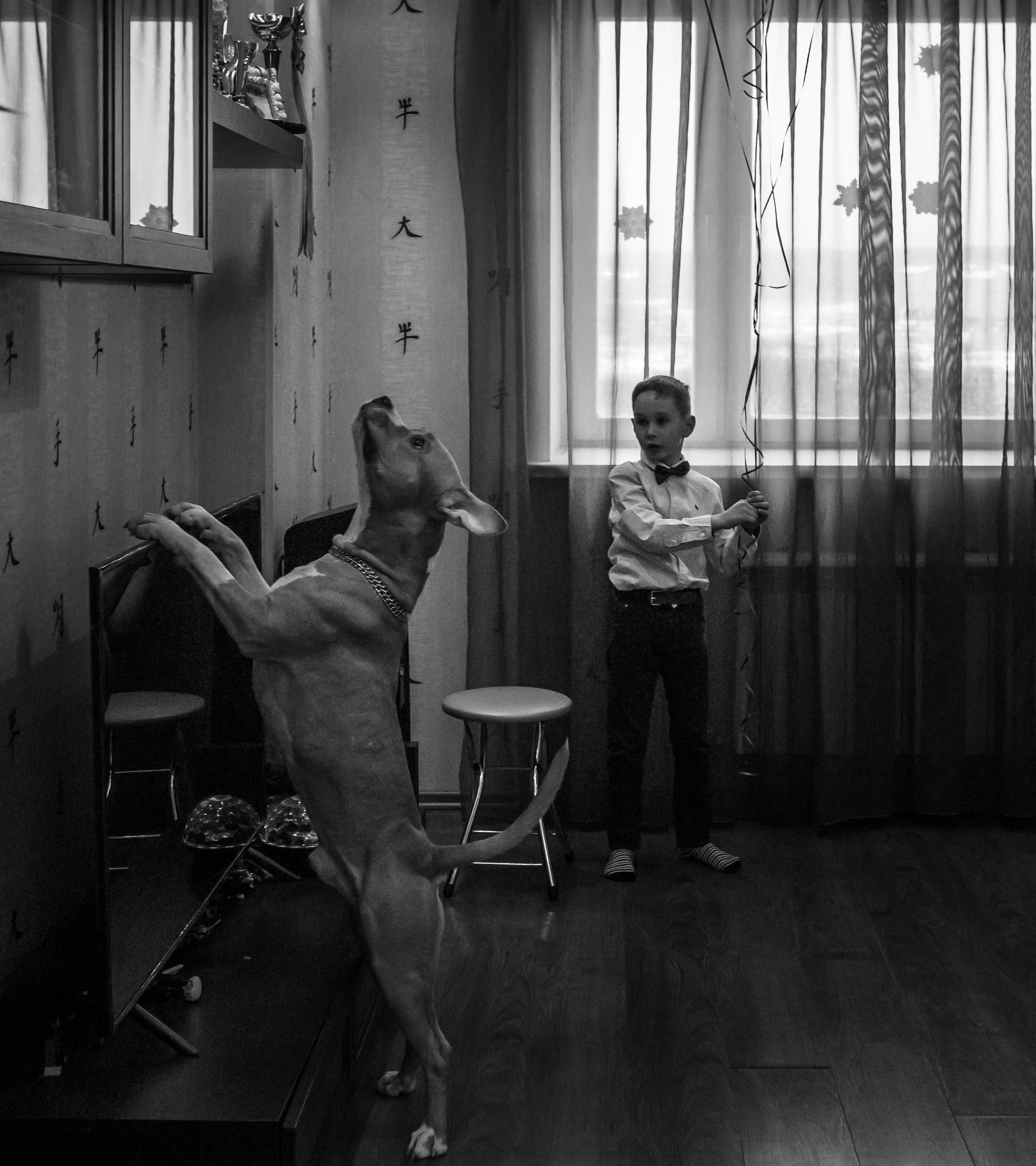 Ольга & Сергей домашняя семейная сьемка. Семейный фотограф в Москве и Московской области Донкова Екатерина