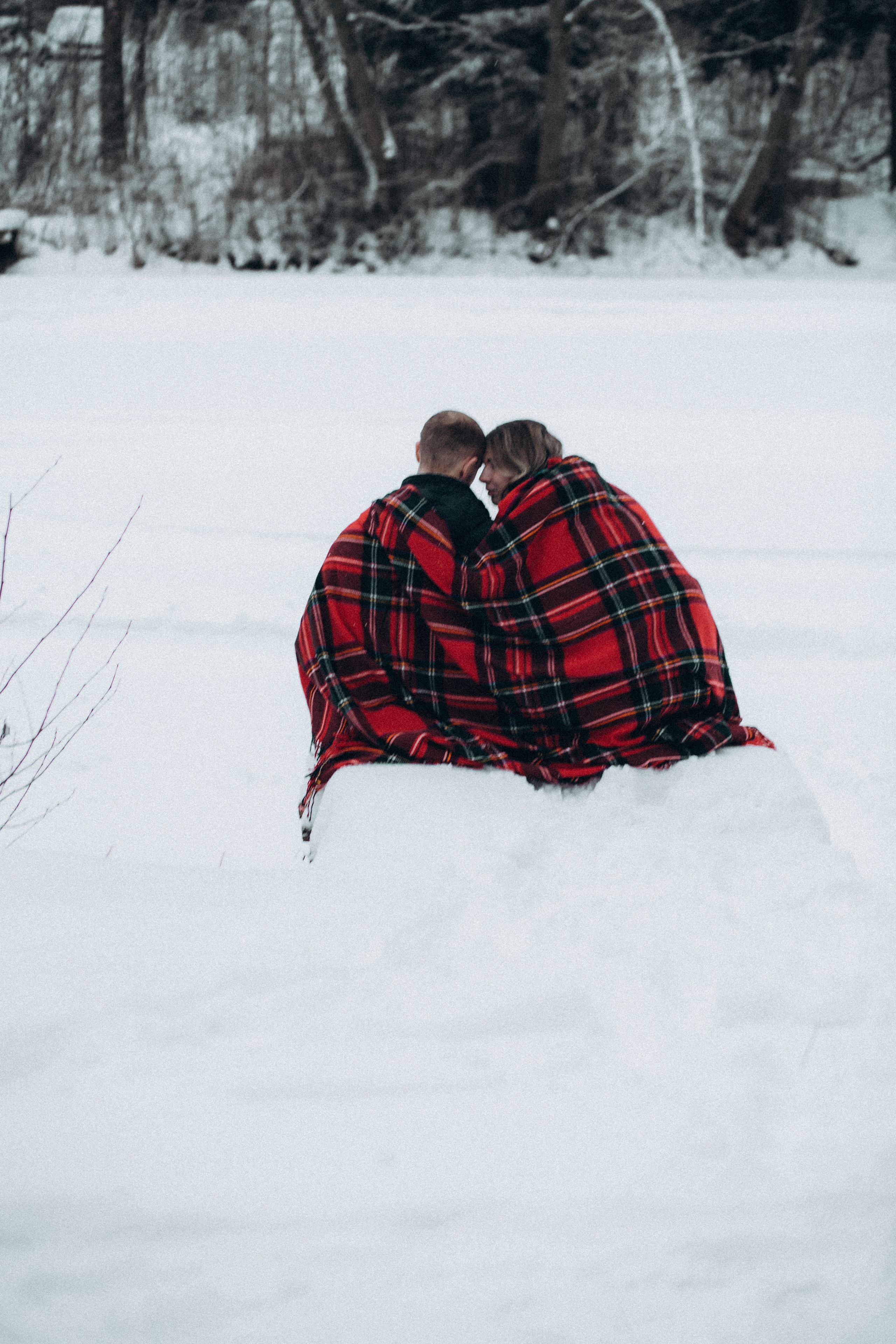 Елена & Александр. Семейный фотограф в Москве и Московской области Донкова Екатерина