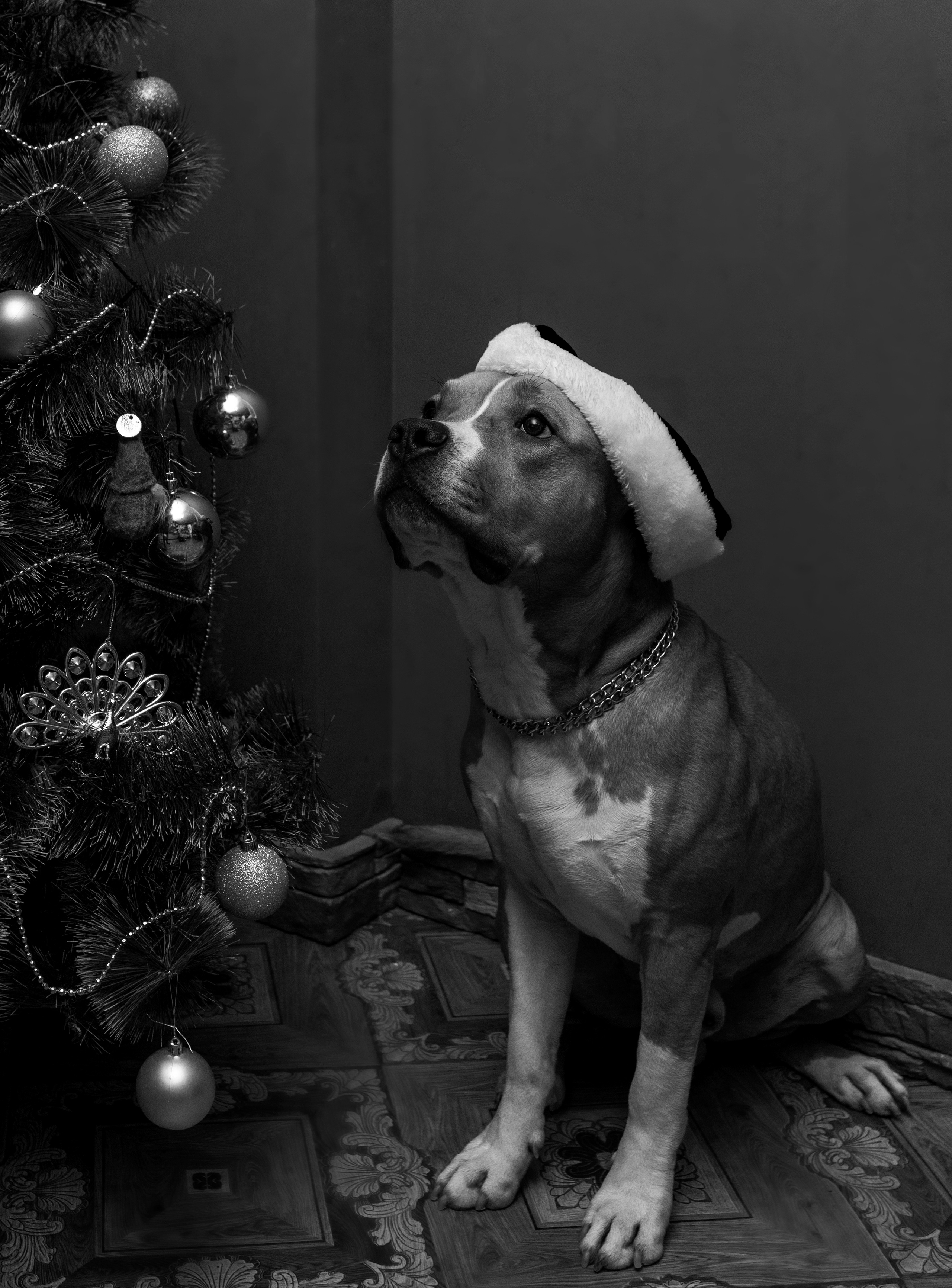 Ольга & Сергей домашняя семейная сьемка. Семейный фотограф в Москве и Московской области Донкова Екатерина