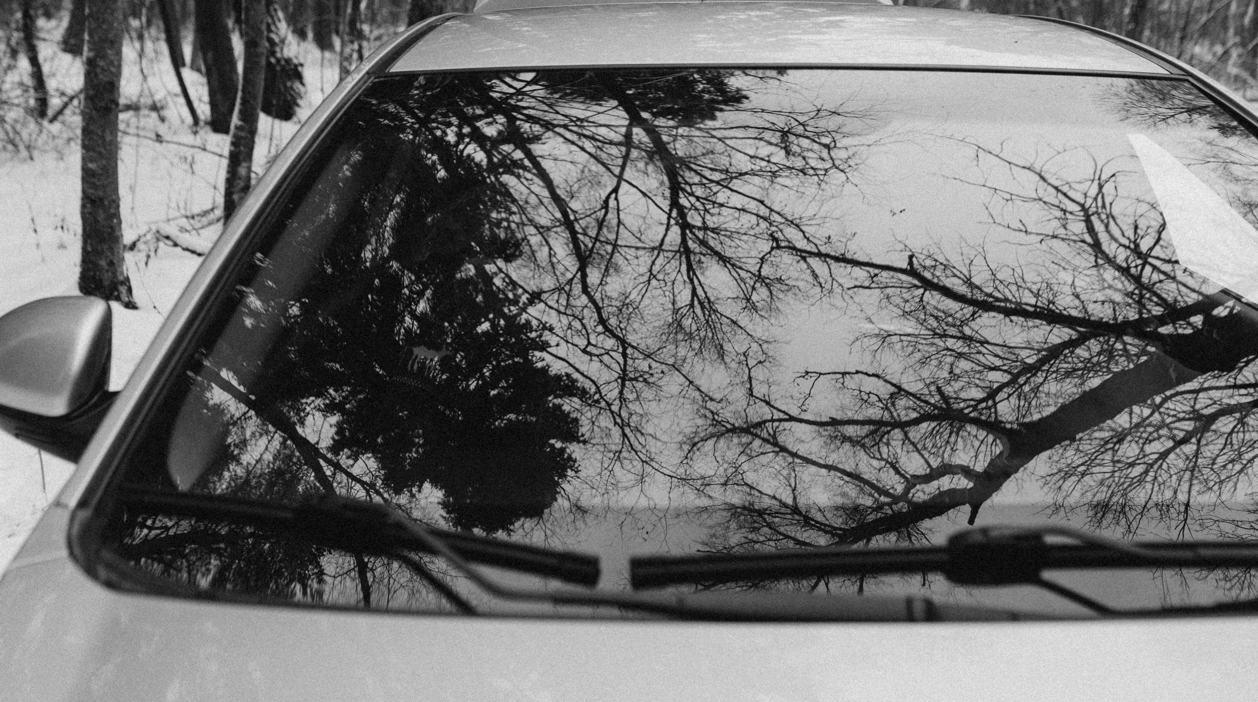 Елена & Александр. Семейный фотограф в Москве и Московской области Донкова Екатерина