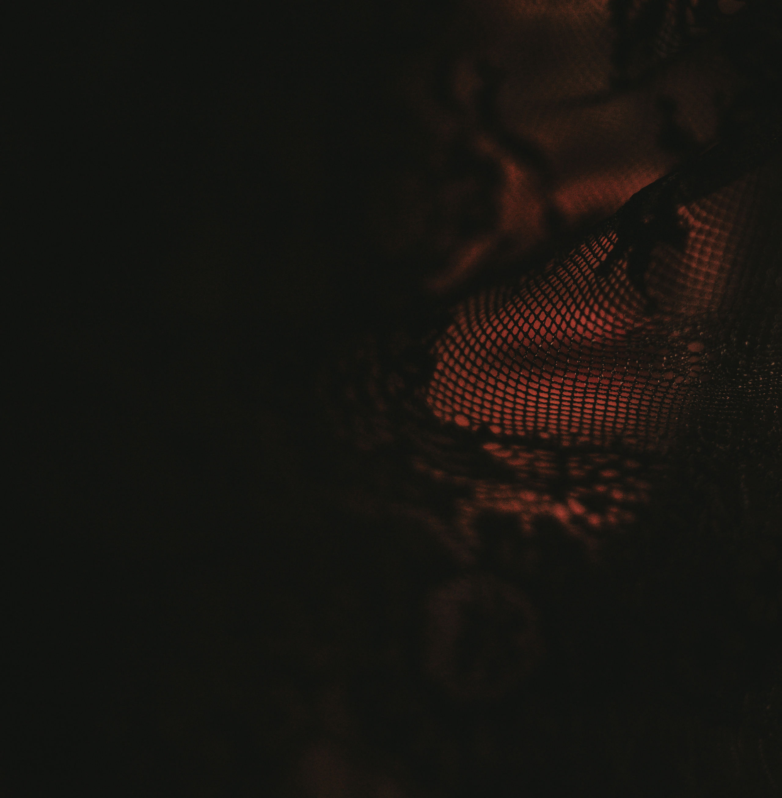 Латифа линии. Семейный фотограф в Москве и Московской области Донкова Екатерина