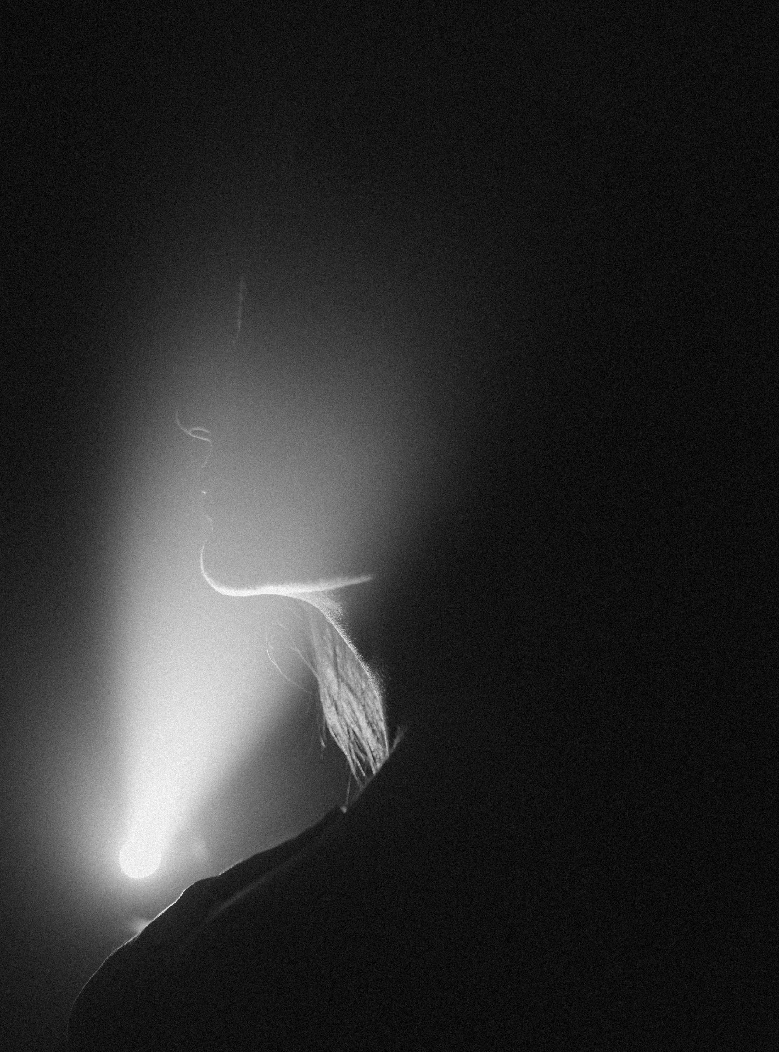 Латифа линии. Семейный фотограф в Москве и Московской области Донкова Екатерина