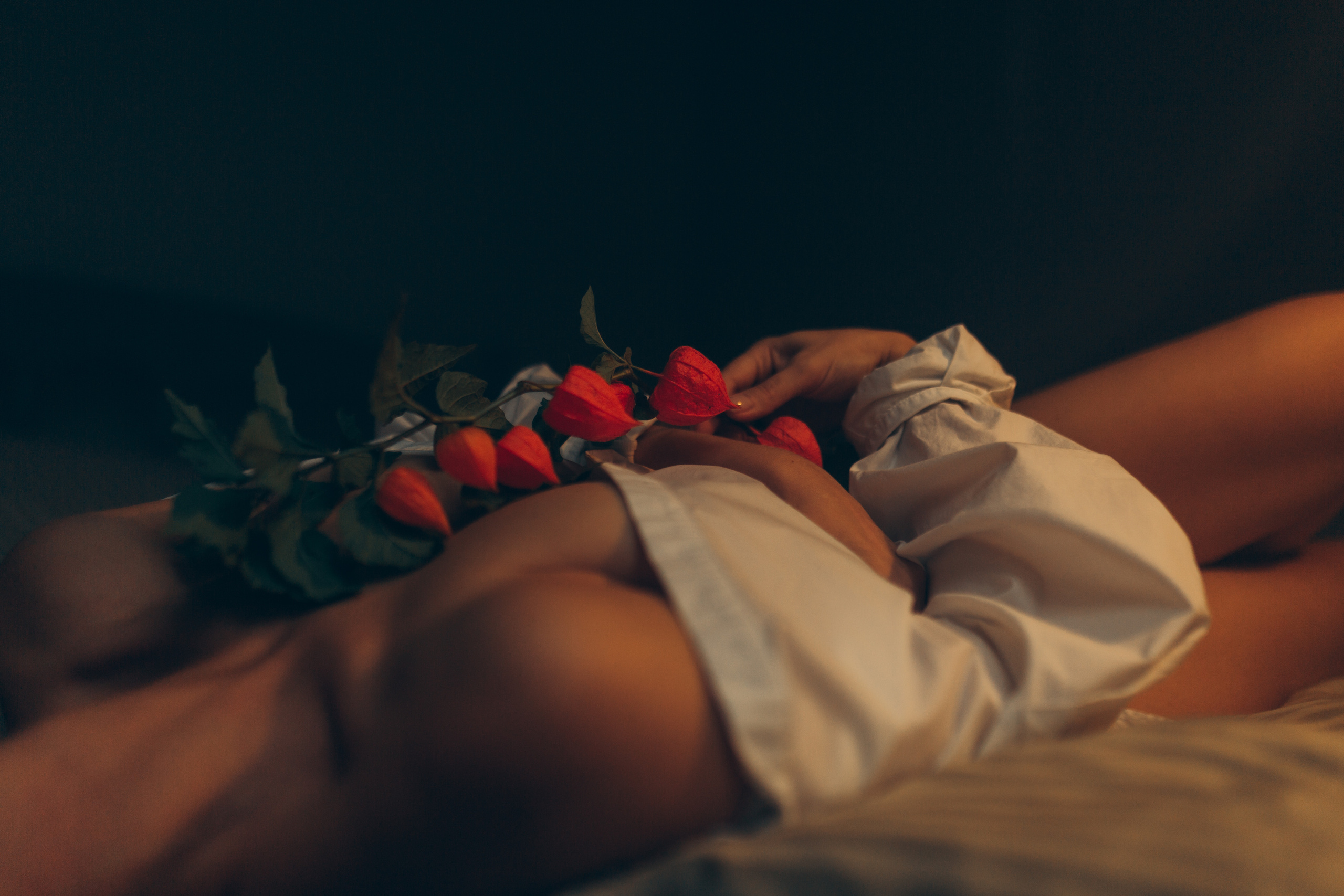 Латифа линии. Семейный фотограф в Москве и Московской области Донкова Екатерина