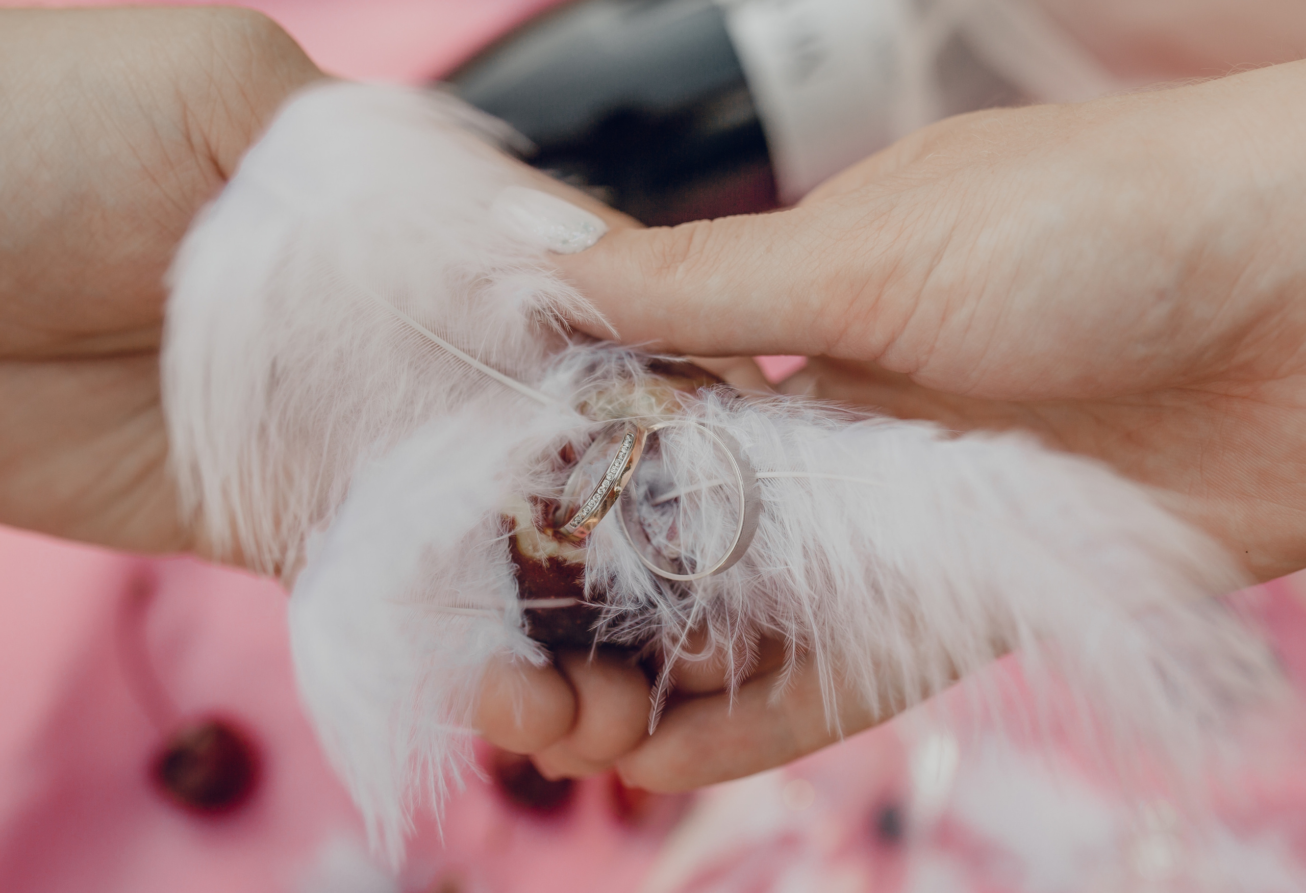 Аня & Андрей прогулка. Семейный фотограф в Москве и Московской области Донкова Екатерина