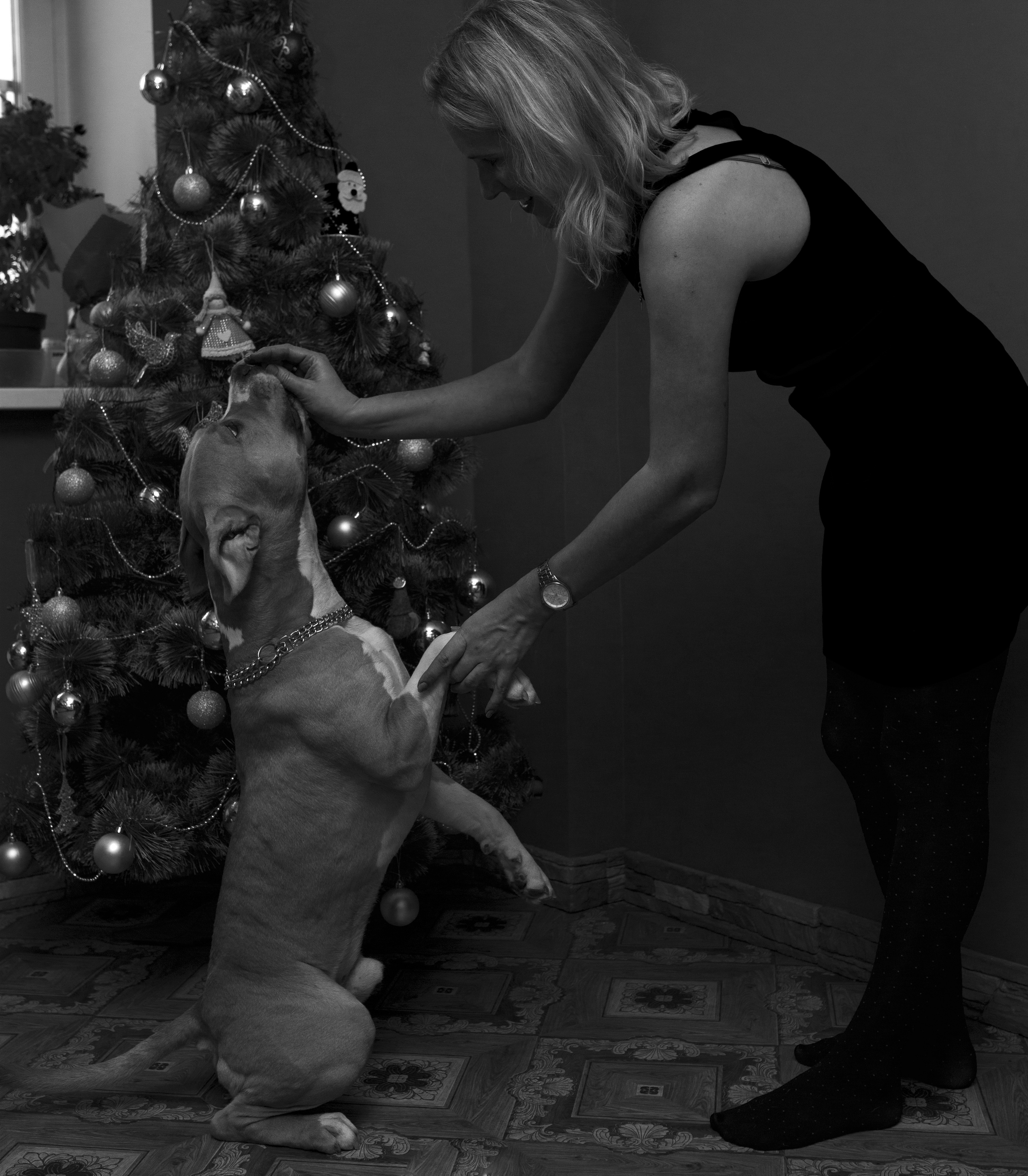 Ольга & Сергей домашняя семейная сьемка. Семейный фотограф в Москве и Московской области Донкова Екатерина